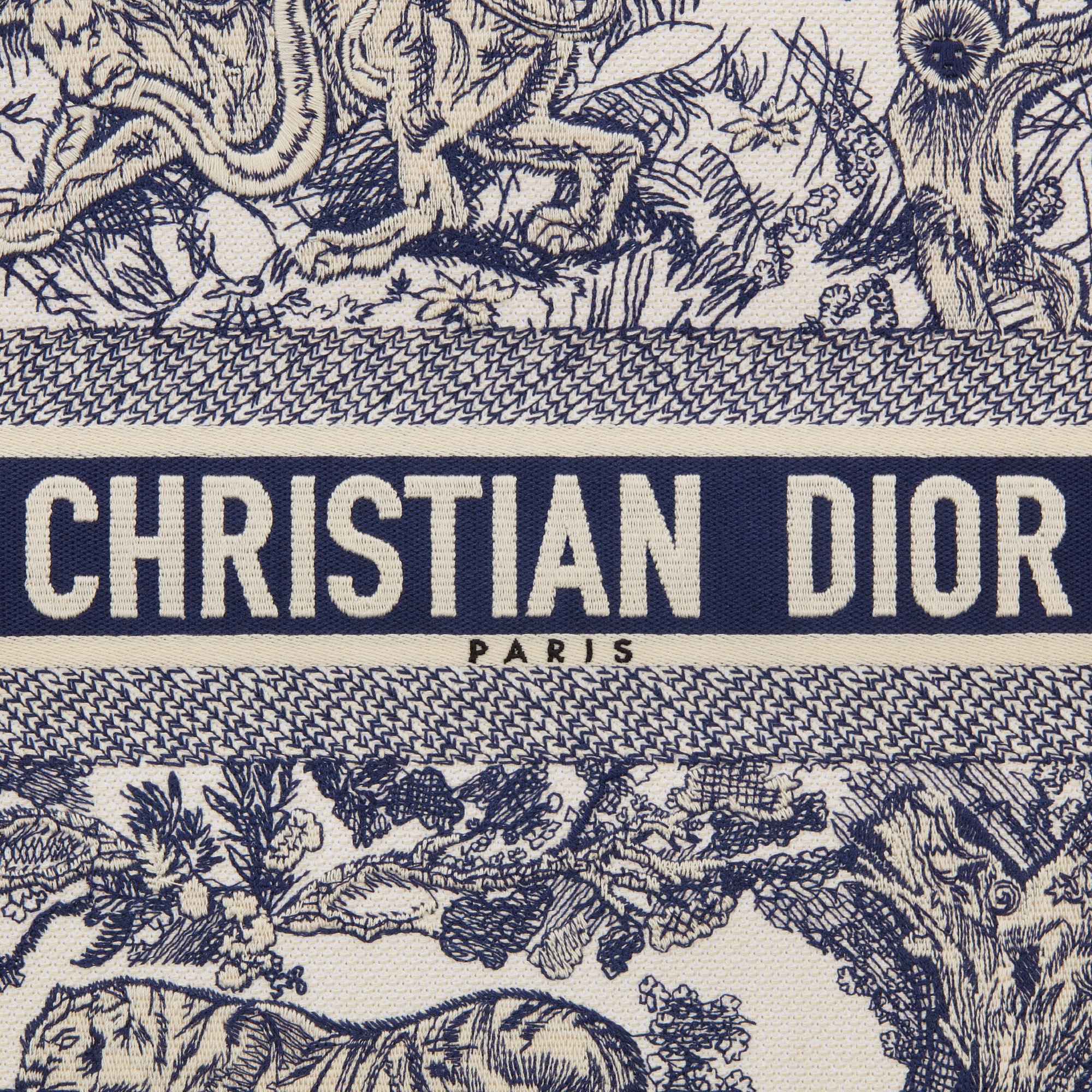 大碼 Dior Book Tote aria_detailedView