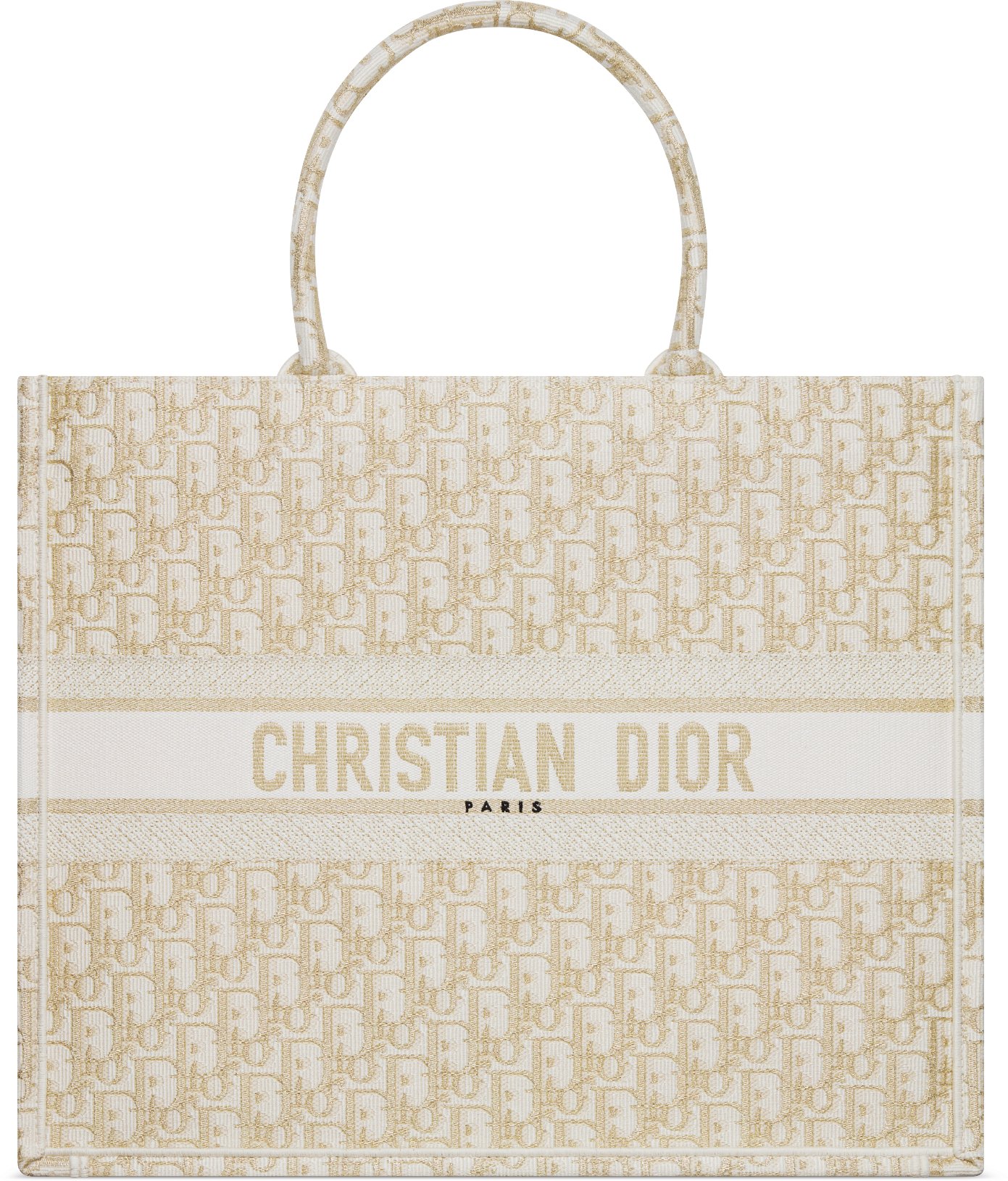 Grote Dior Book Tote aria_woman_viewcode_e01