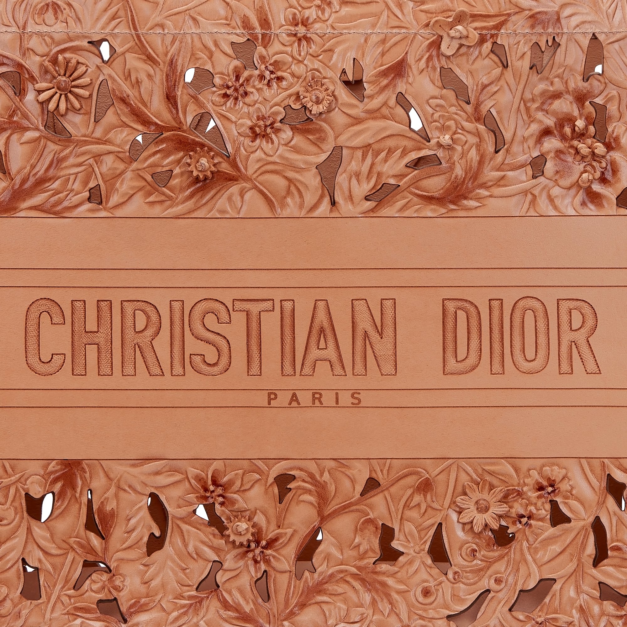Medium Dior Book Tote Detailed view