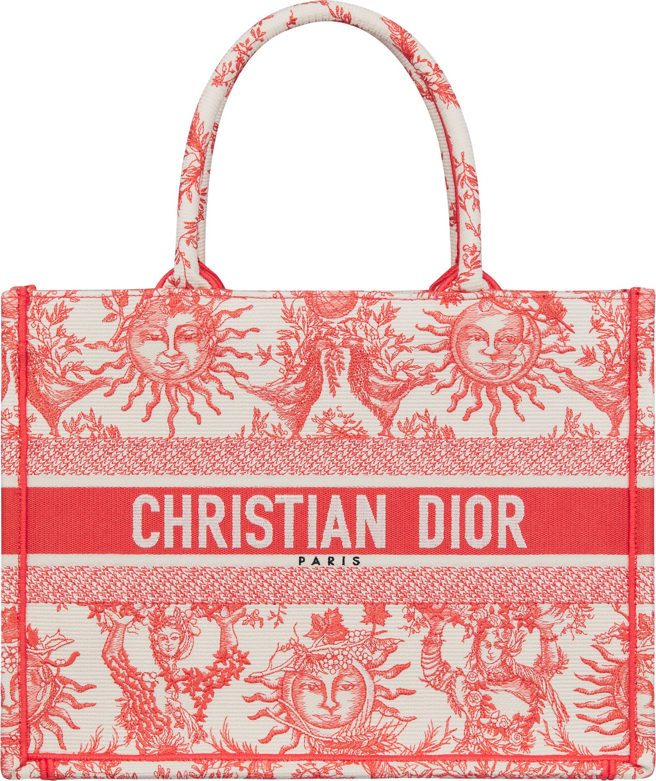 Dior toile tote sale