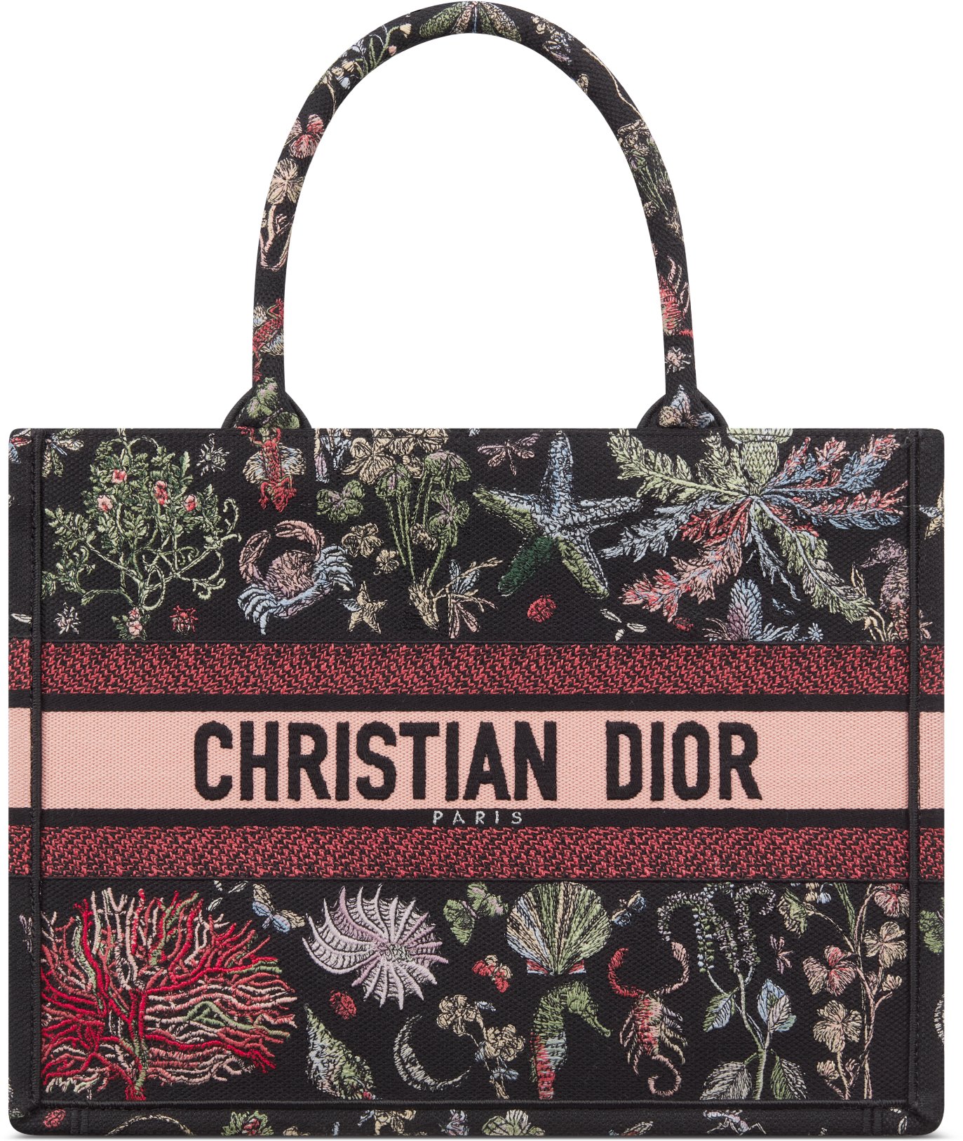Dior va tote top