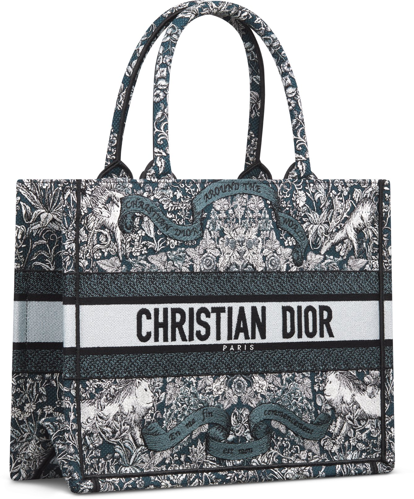 Medium Dior Book Tote Three quarter closed view