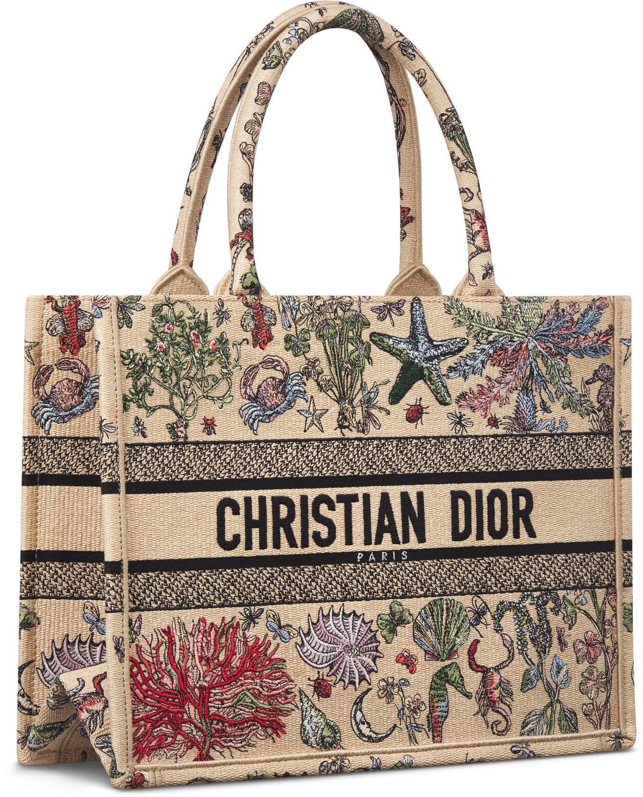 Sac Dior Book Tote Medium Vue de 3/4 zoomée