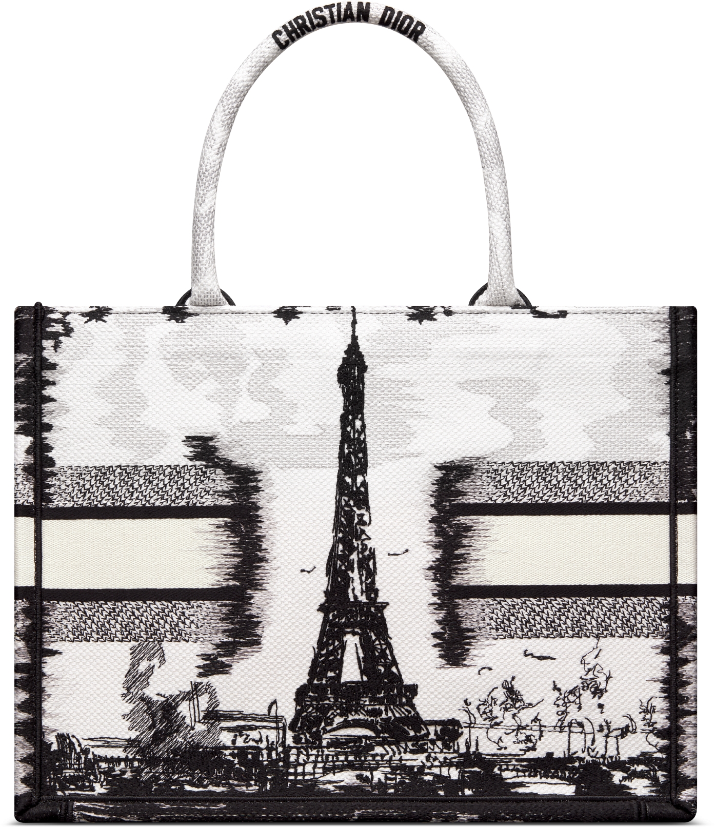 Dior fiesta book tote hotsell