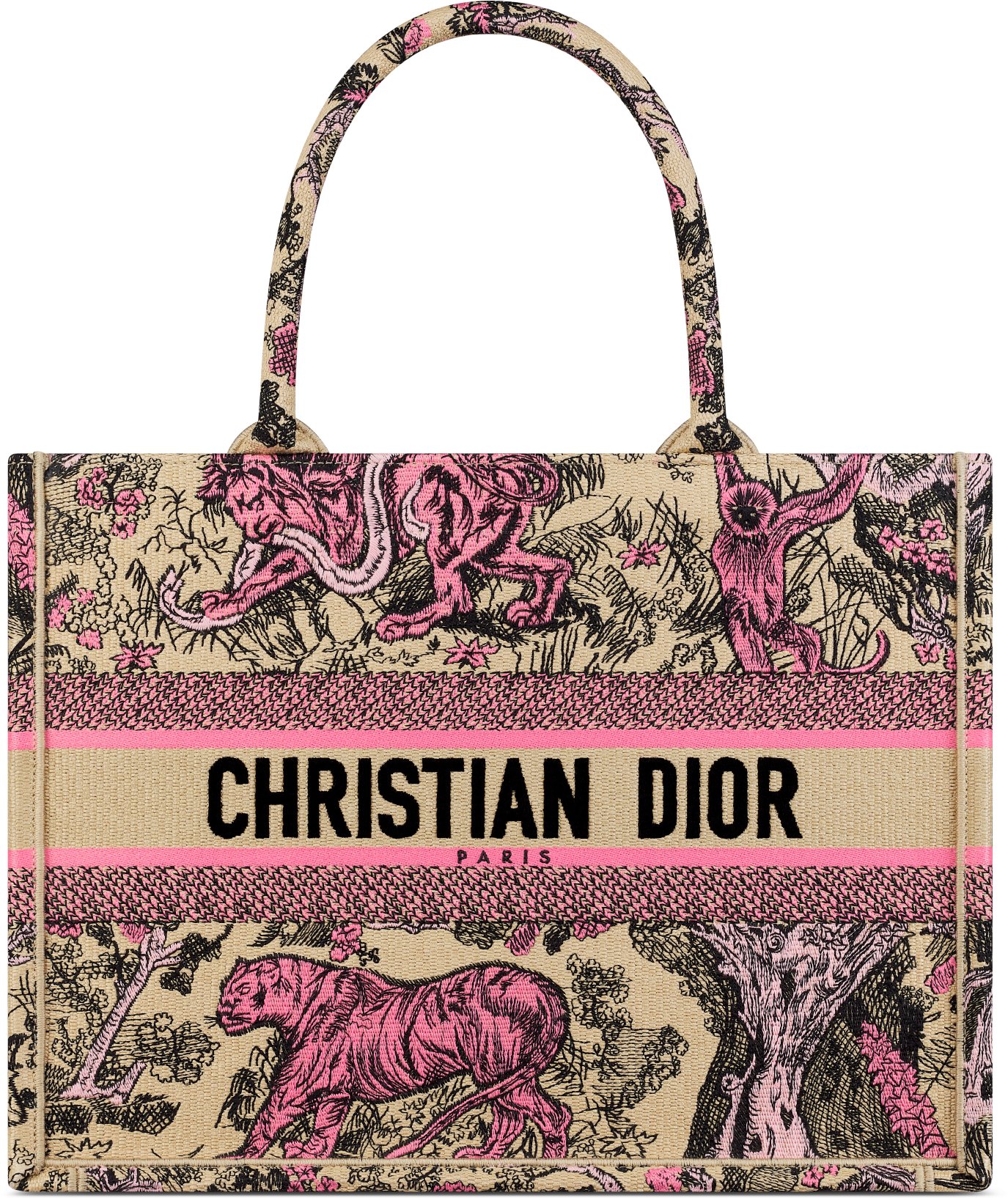 Dior Book Tote Dioriviera