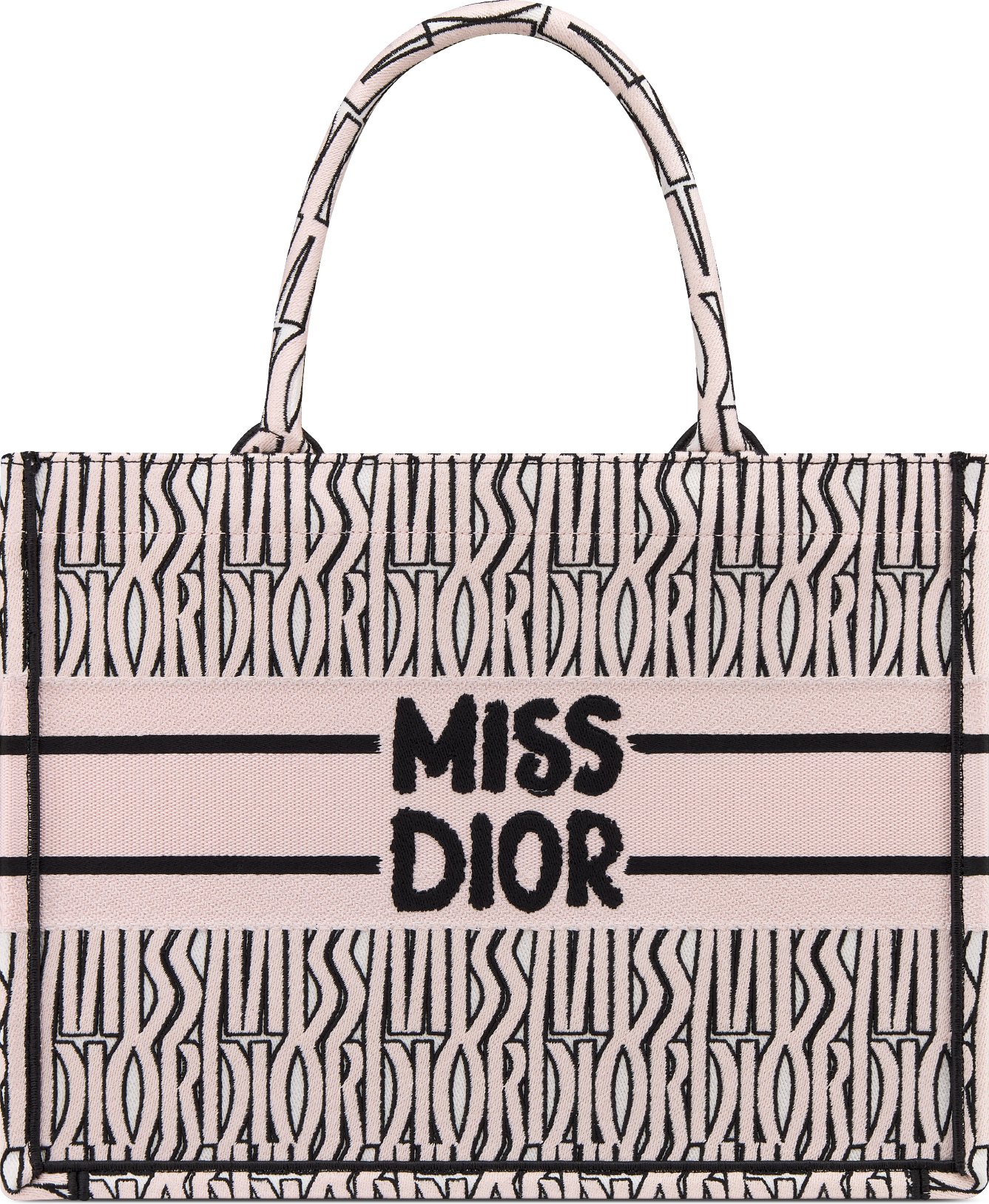 Dior book tote online top