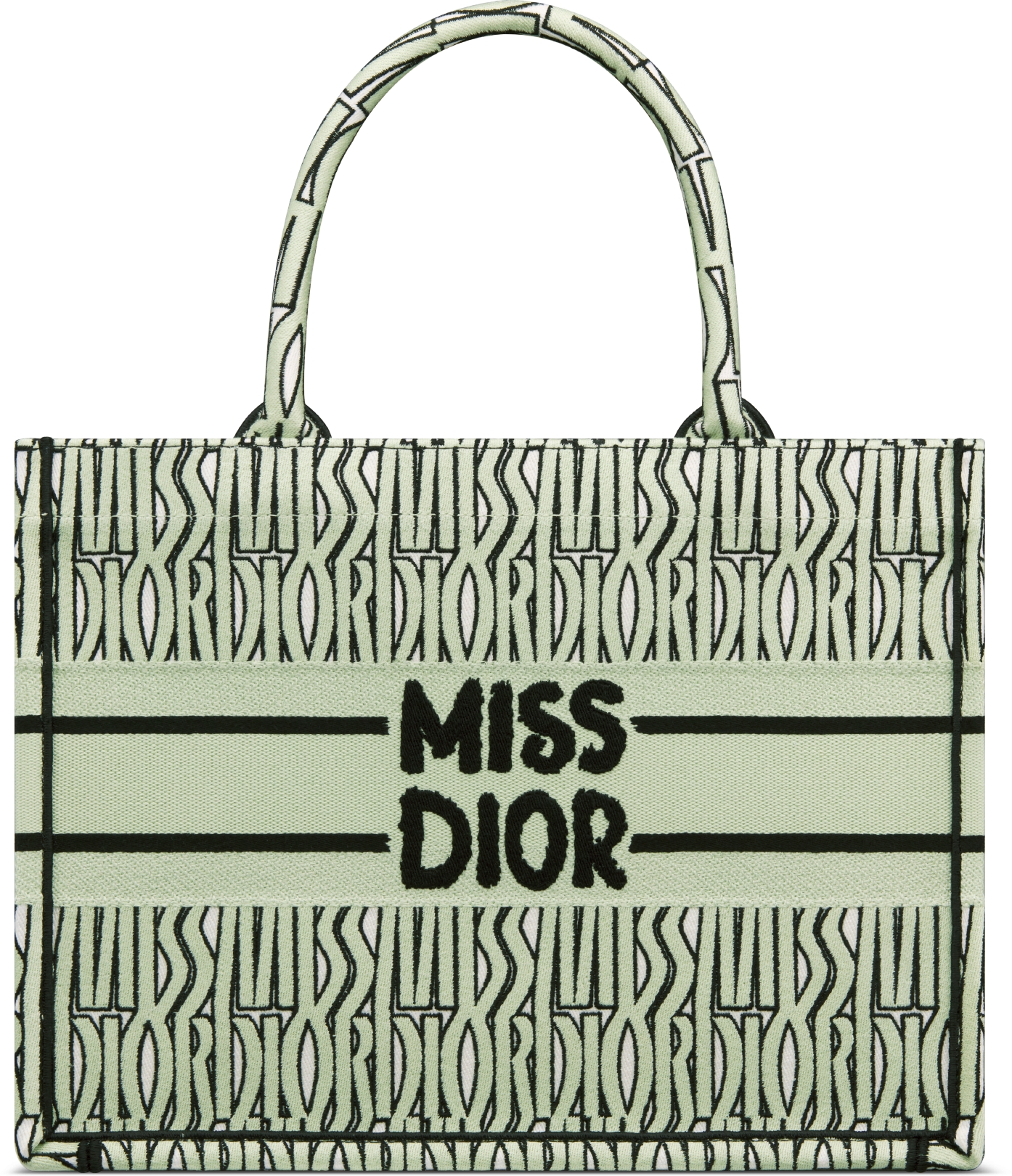 Dior book tote bag in embroidered dior oblique canvas hotsell