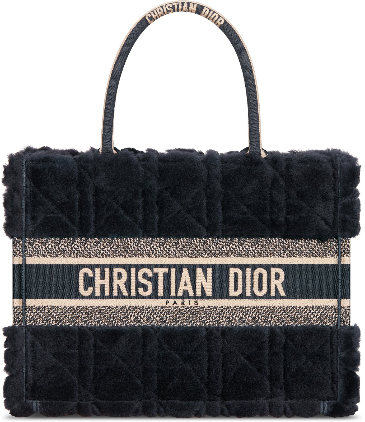 Dior Book Tote DIOR