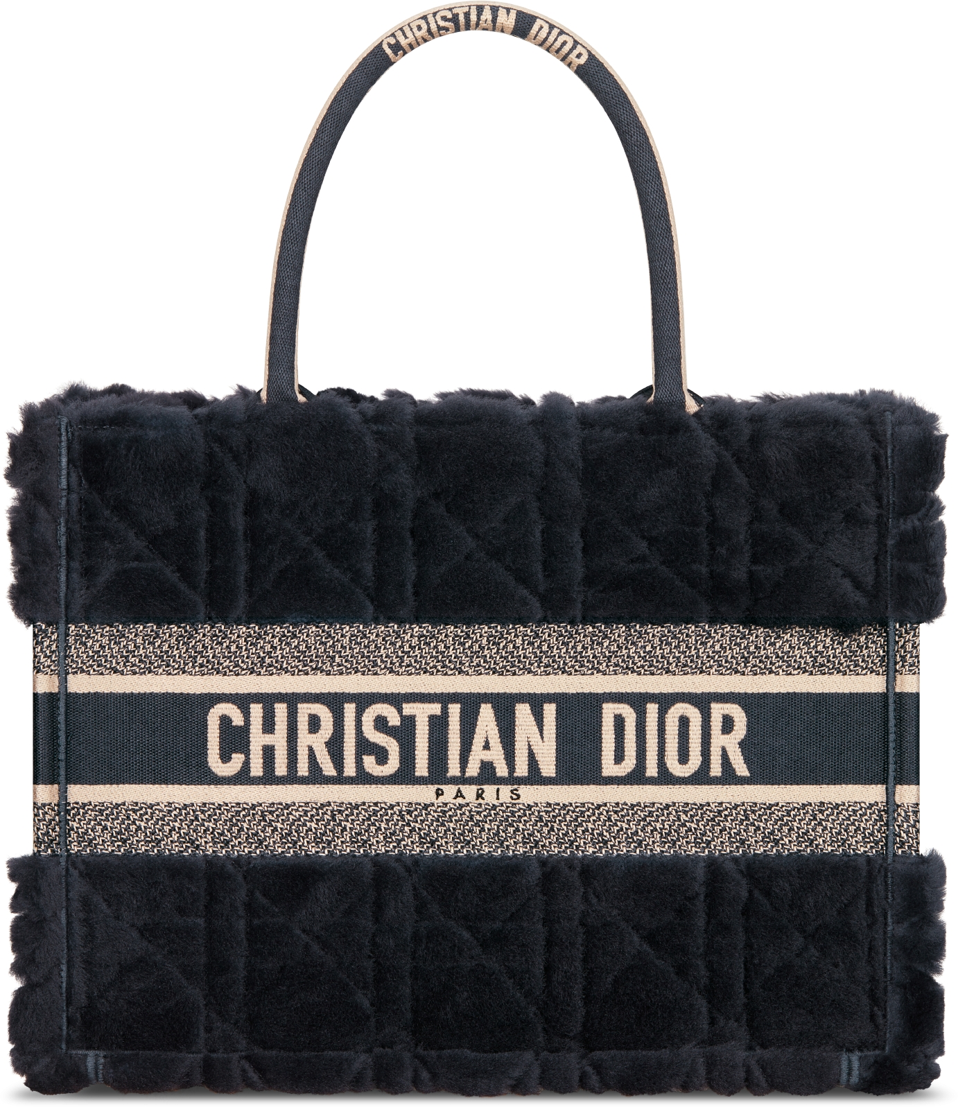 Christian dior bookbag hotsell