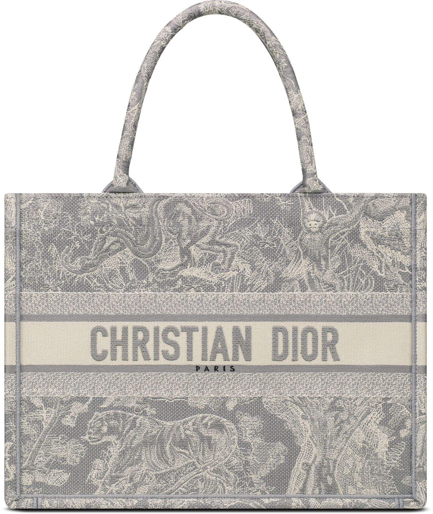 DIOR | Dior Book Tote