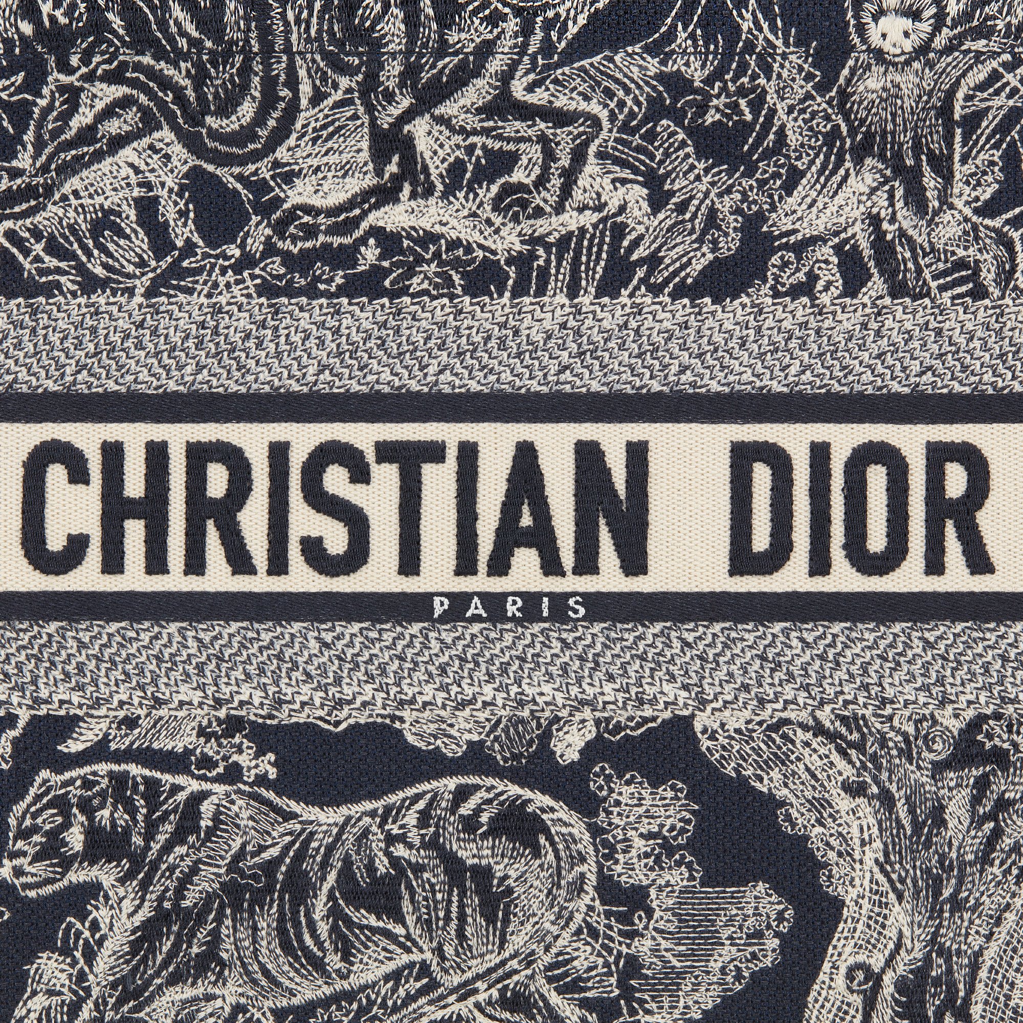 Sac Dior Book Tote Medium Vue détaillée