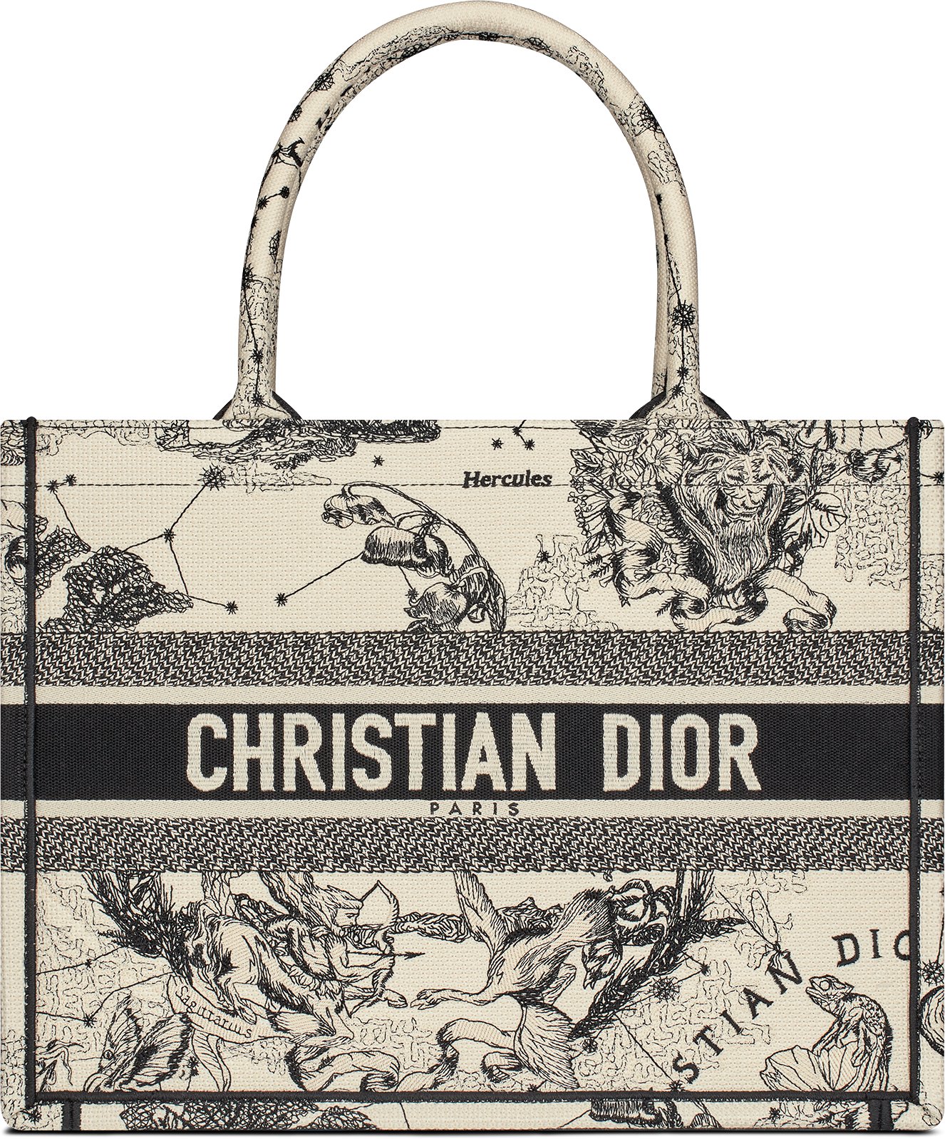 Dior zodiac bag 2025