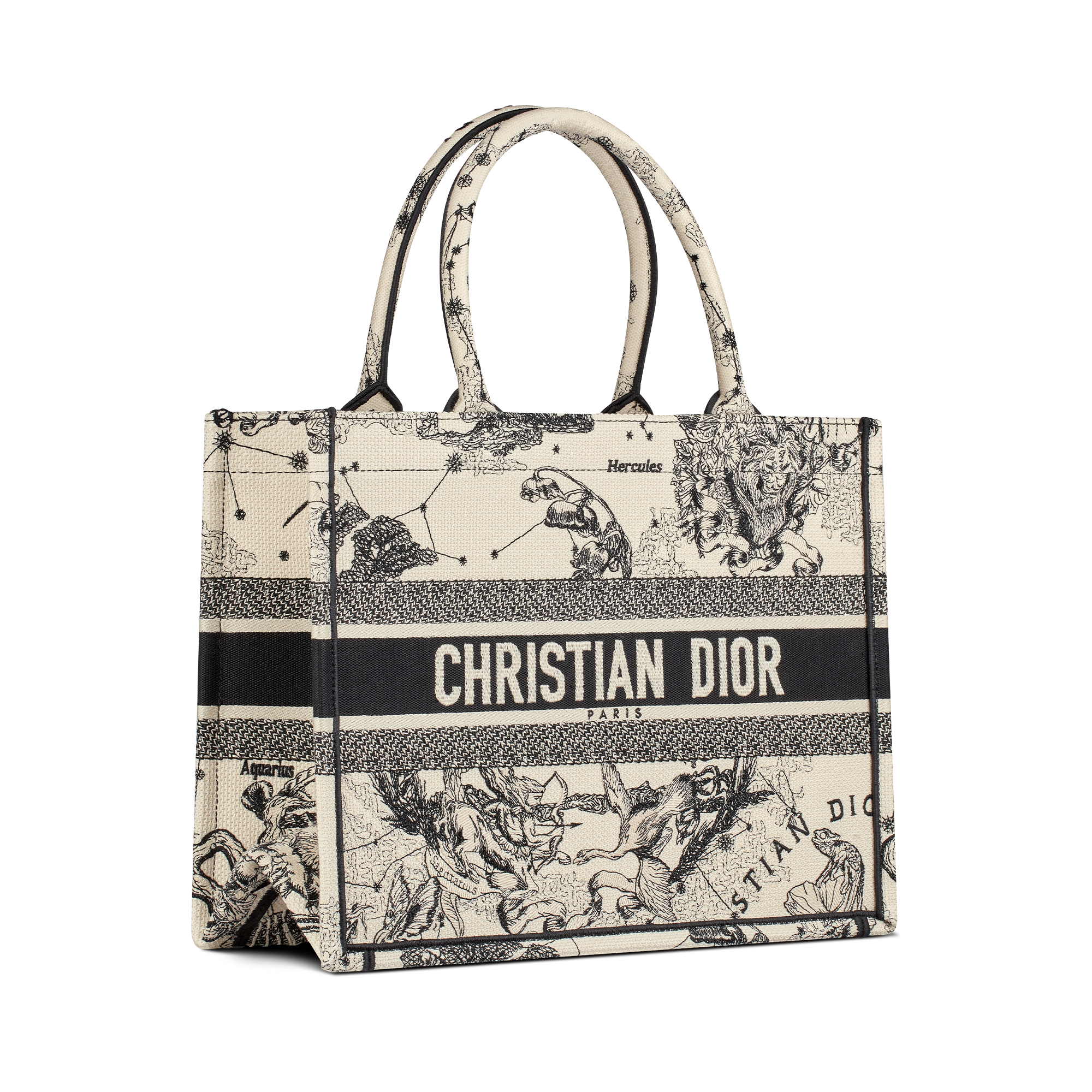 Mittelgroße Dior Book Tote Dior Zodiac Stickerei in Latte und Schwarz (36 x 27,5 x 16,5 cm) E03