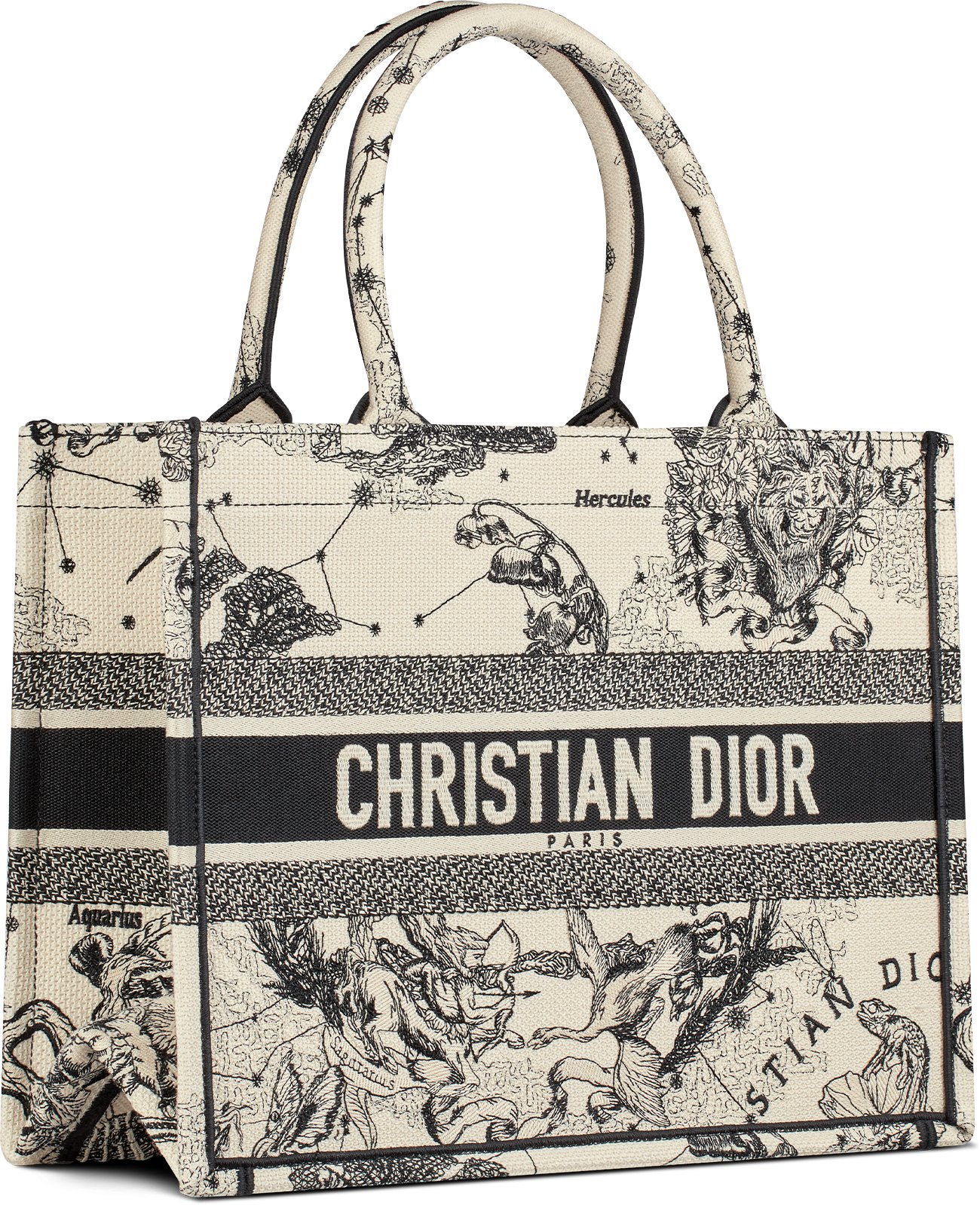 Medium Dior Book Tote Three quarter closed view