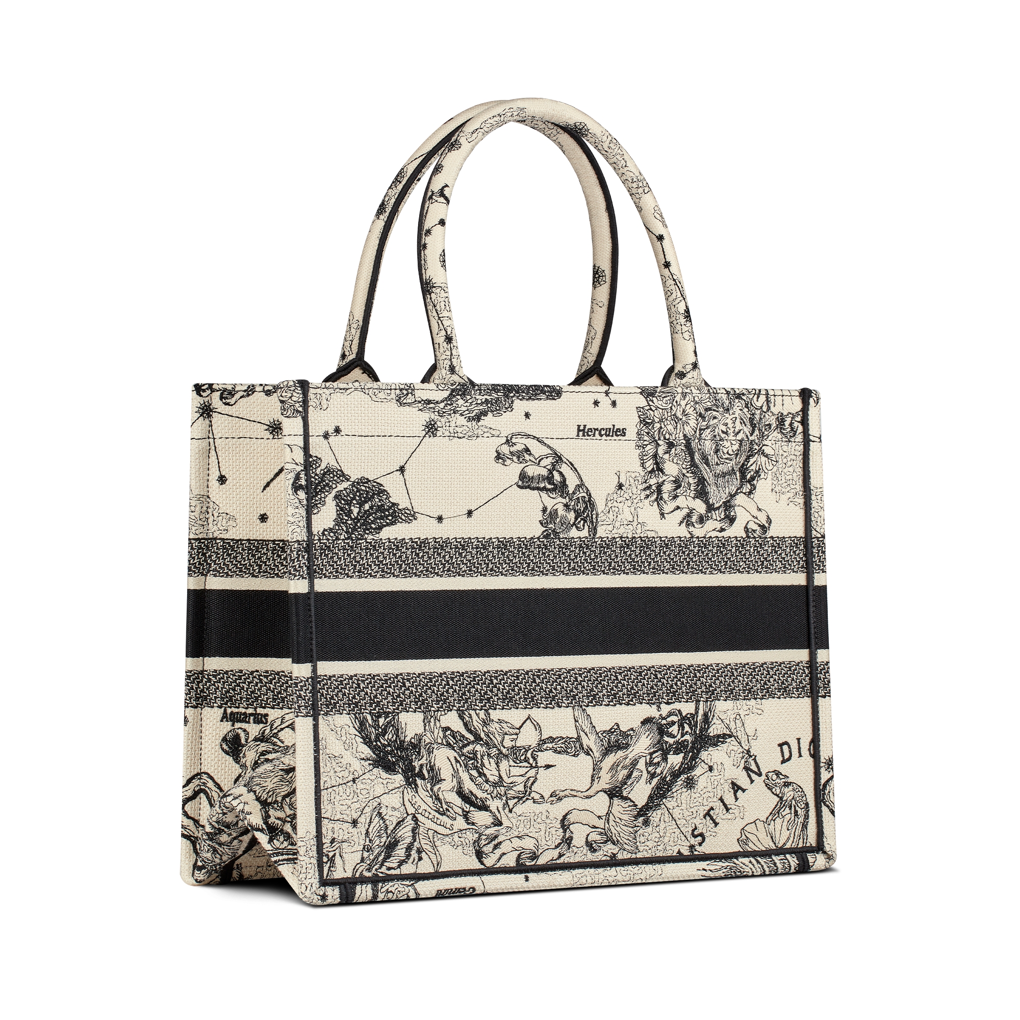 Mittelgroße Dior Book Tote Dior Zodiac Stickerei in Latte und Schwarz (36 x 27,5 x 16,5 cm) E05