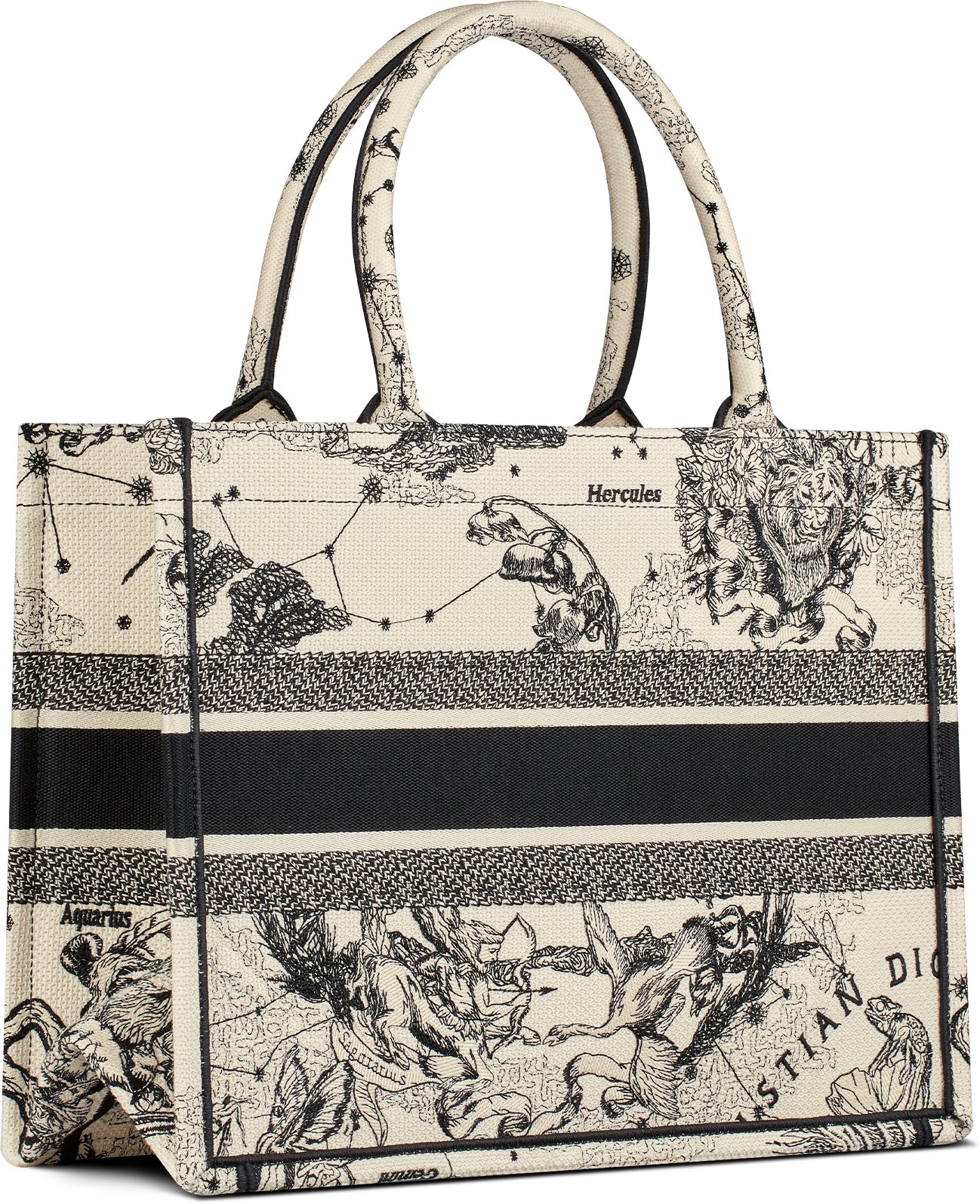 Medium Dior Book Tote Three quarter back view