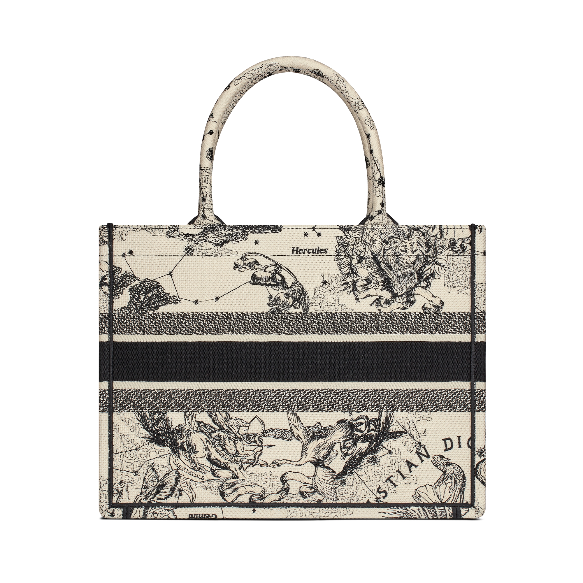 Mittelgroße Dior Book Tote Dior Zodiac Stickerei in Latte und Schwarz (36 x 27,5 x 16,5 cm) E08