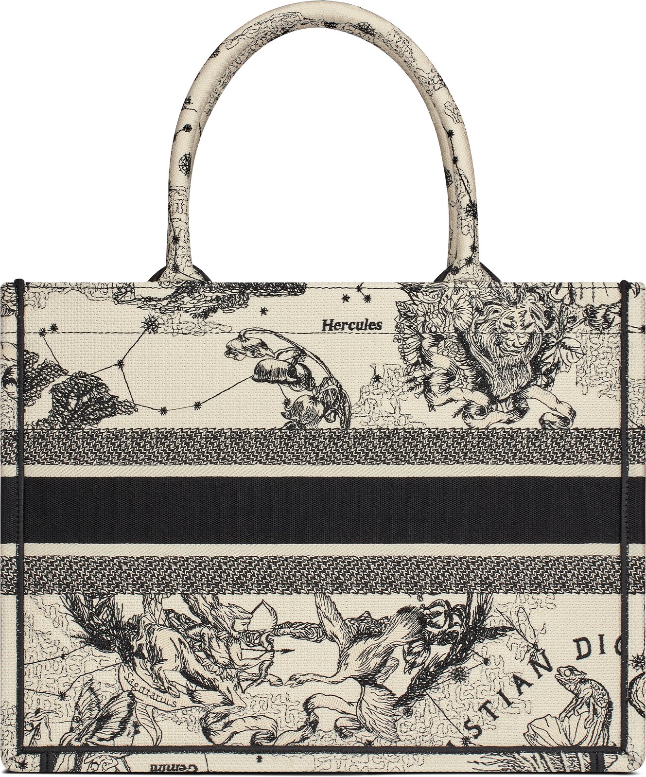 Medium Dior Book Tote Back view