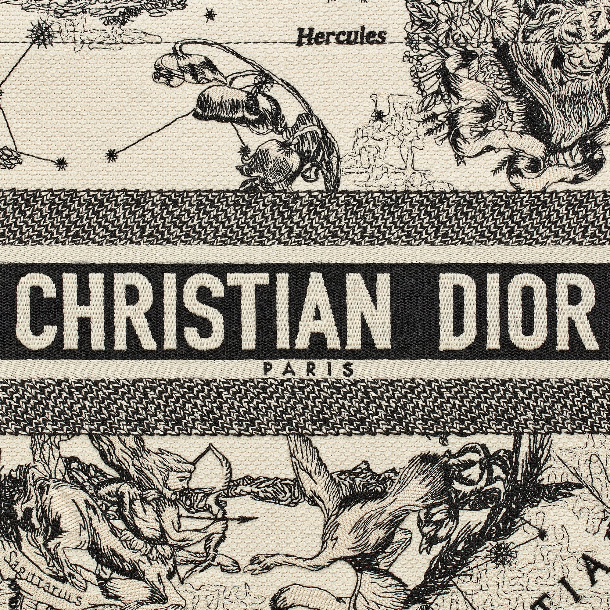 Medium Dior Book Tote Detailed view