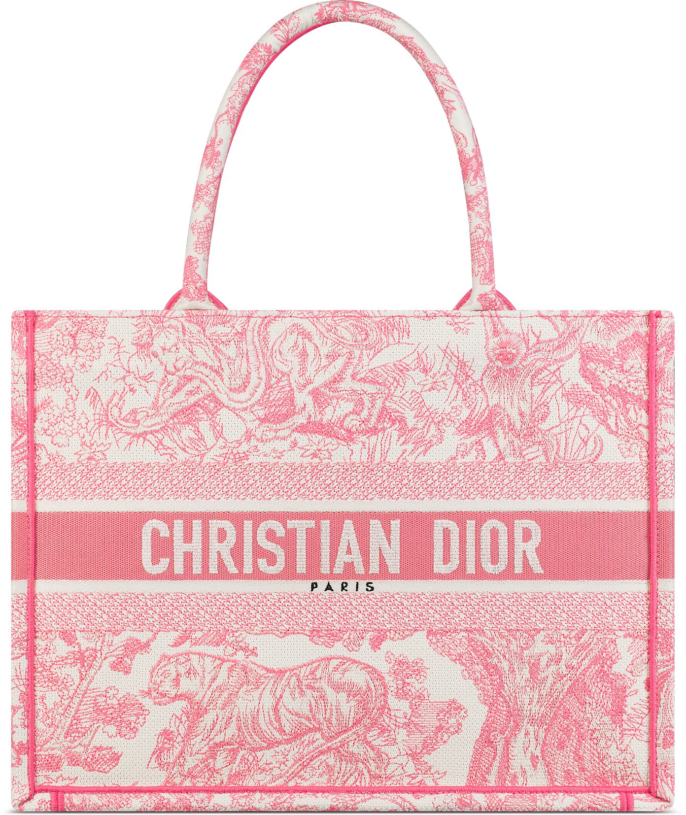 Dior va tote discount