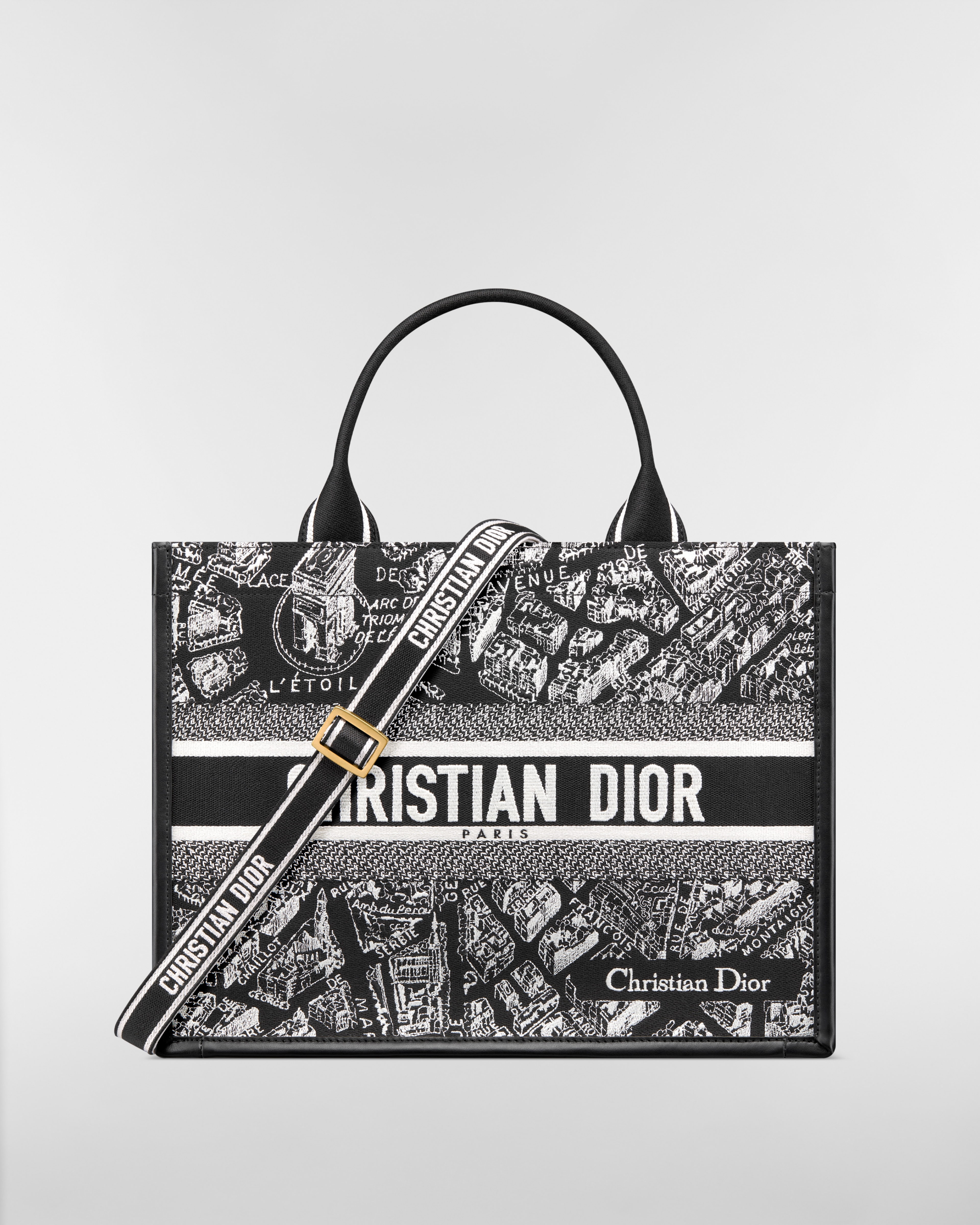Medium Dior Book Tote