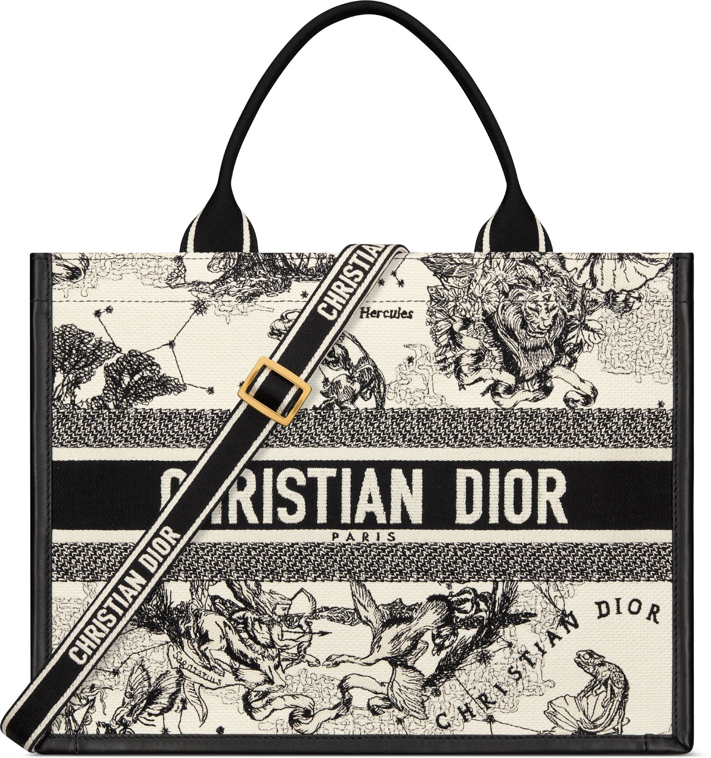 Medium Dior Book Tote aria_woman_viewcode_e01