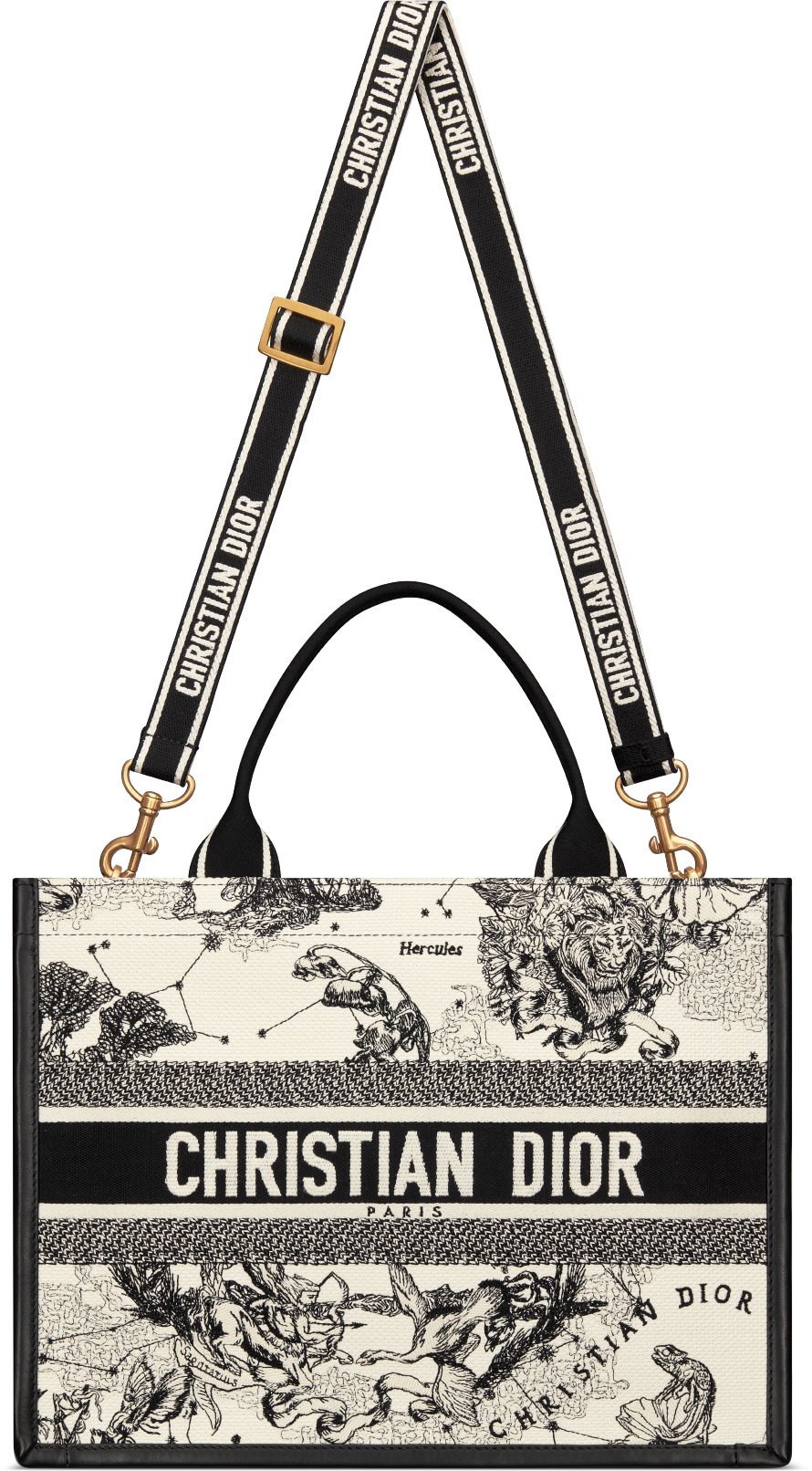 디올 미디엄 Dior 북 토트백 M1324CETW_M06E