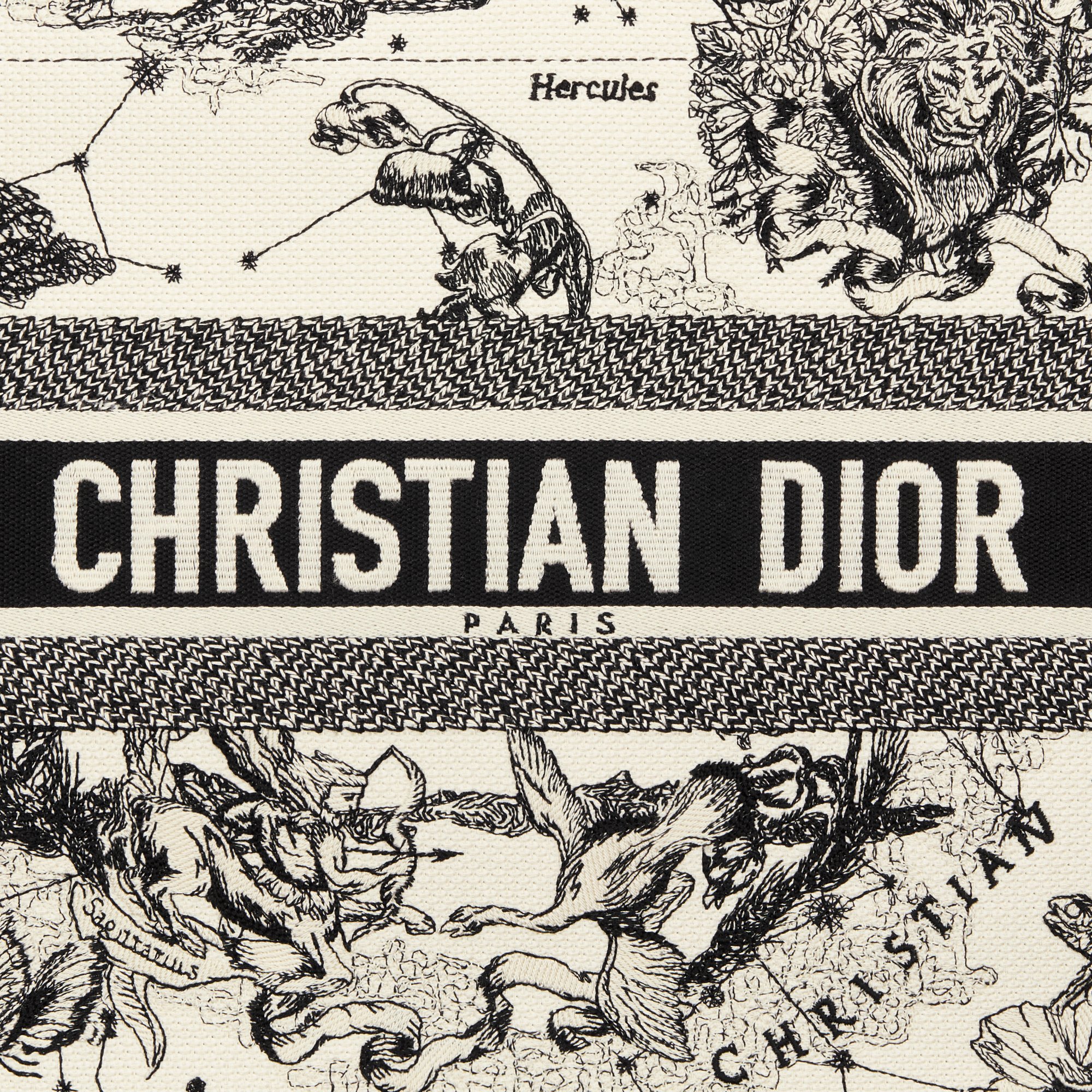 디올 미디엄 Dior 북 토트백 M1324CETW_M06E