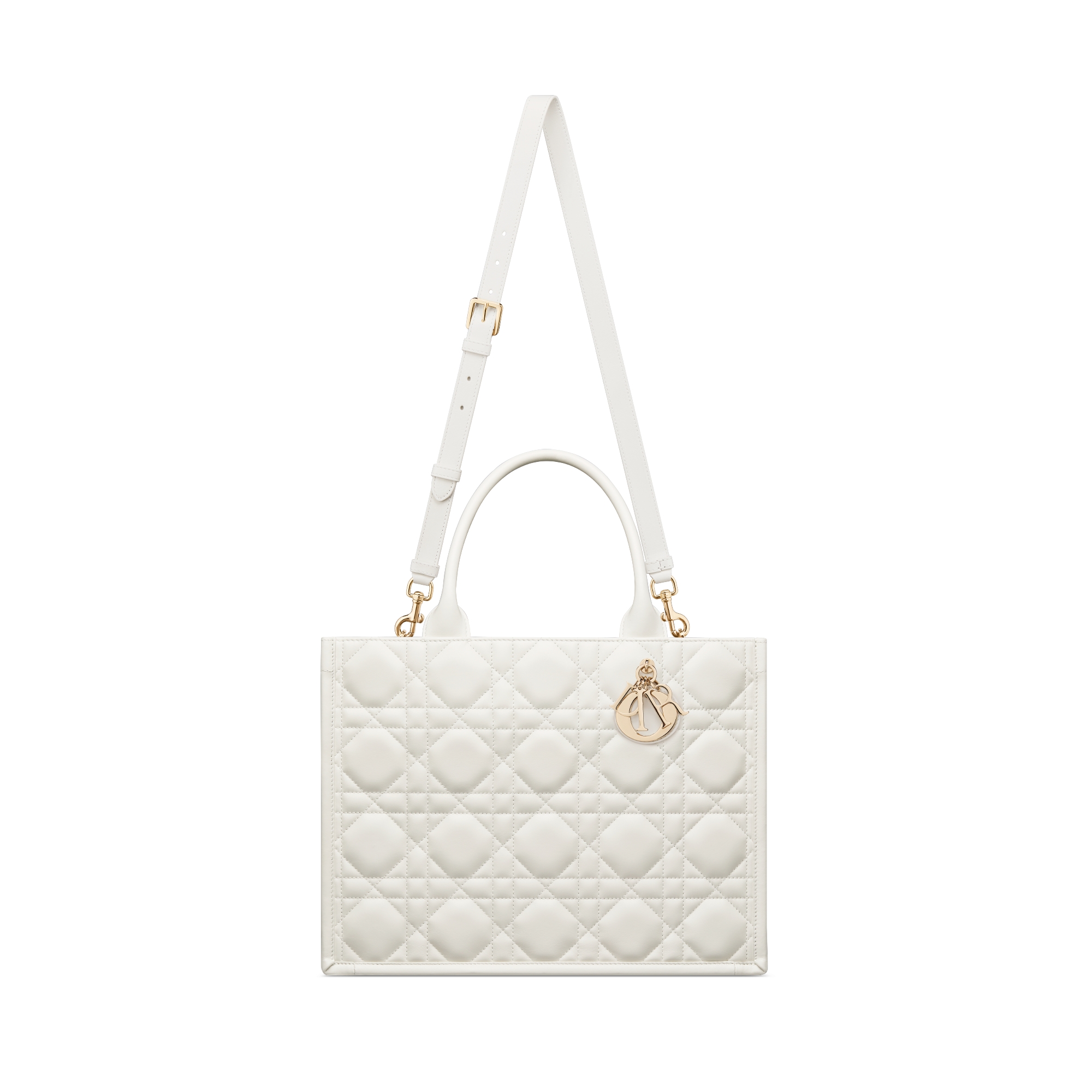 Medium Dior Book Tote