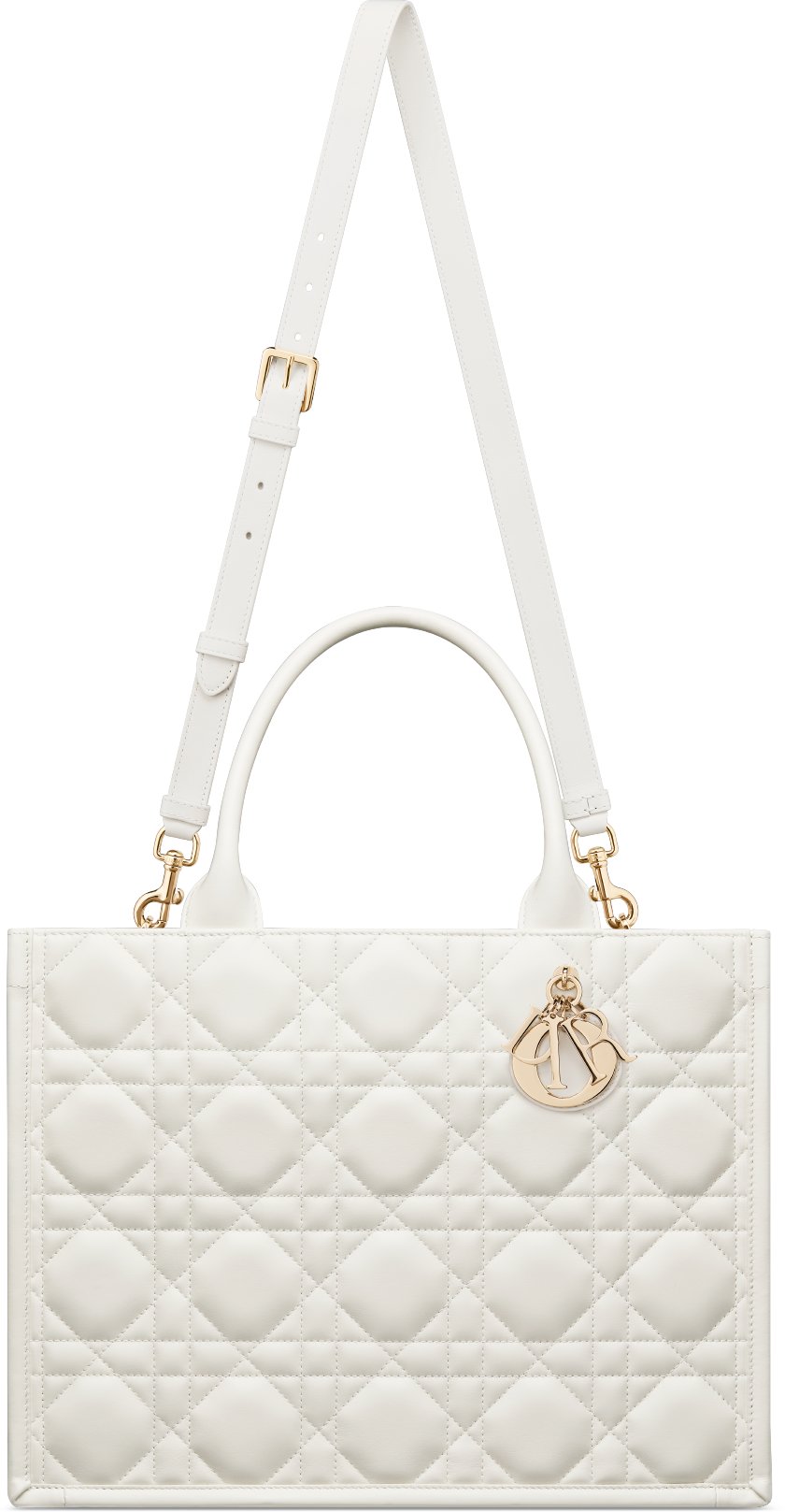 디올 미디엄 Dior 북 토트백 M1324OWHP_M030