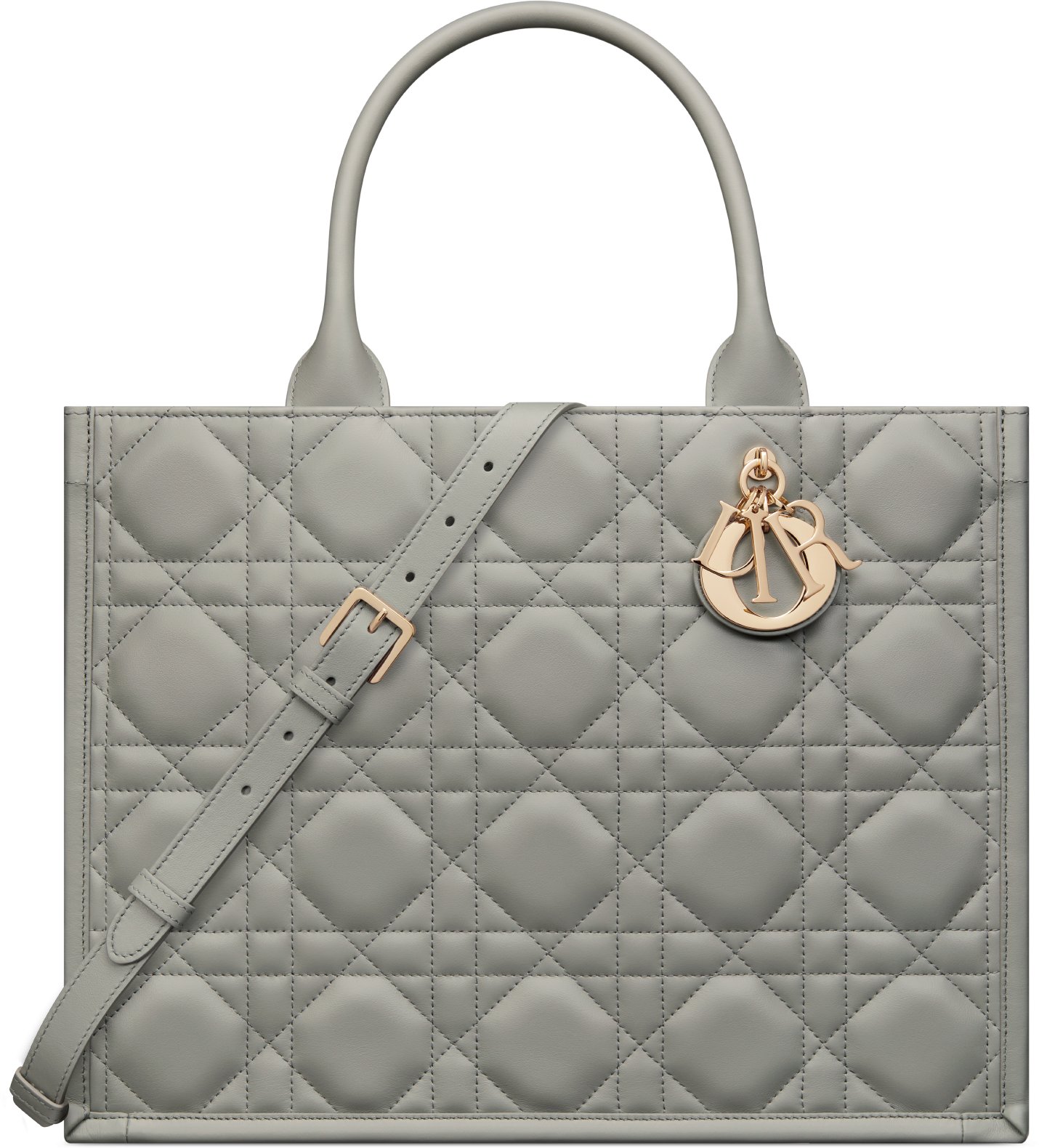 Medium Dior Book Tote Front view