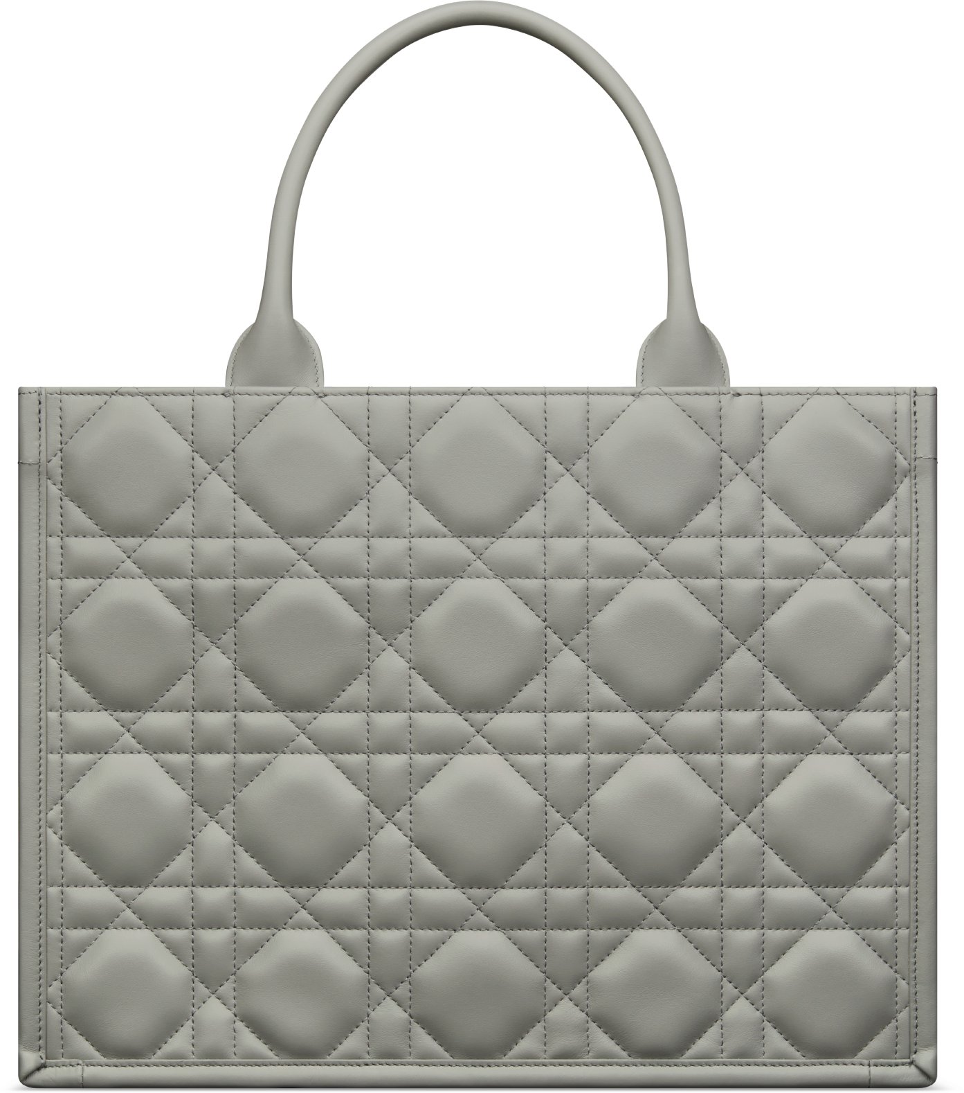 Dior gray book tote outlet