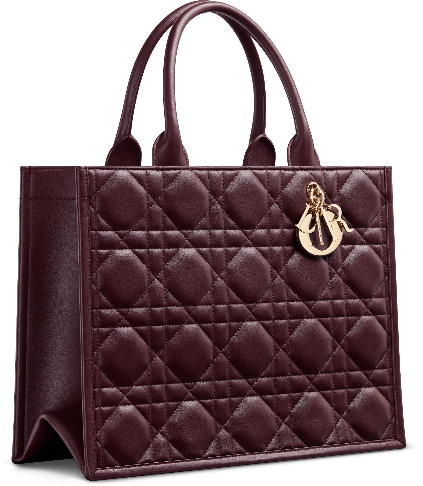 Medium Dior Book Tote Three quarter closed view