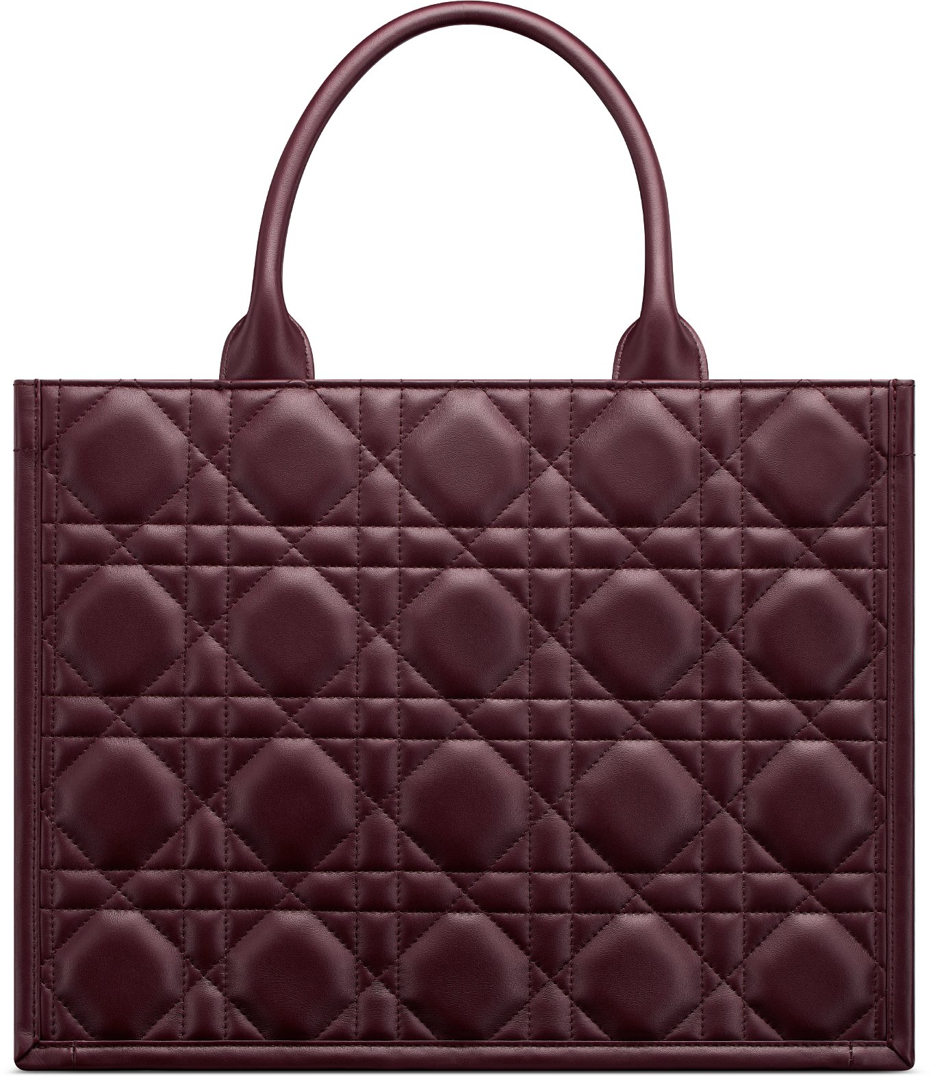 Medium Dior Book Tote Back view