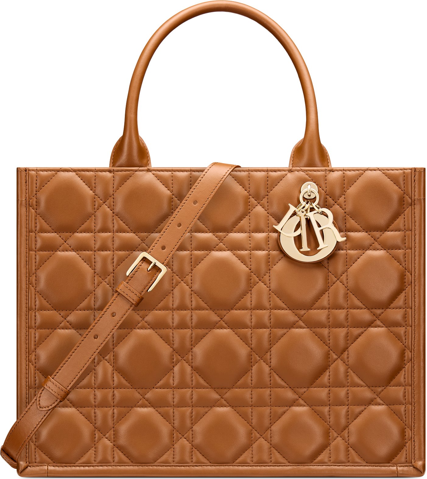 Dior book tote leather online
