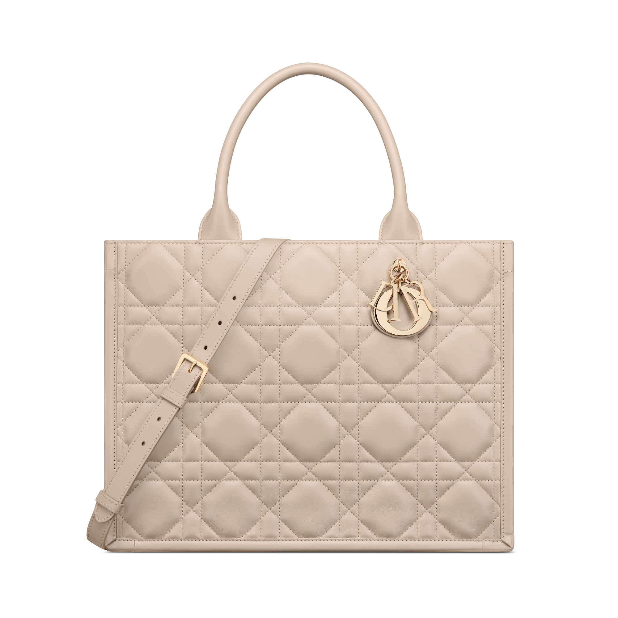 Medium Dior Book Tote