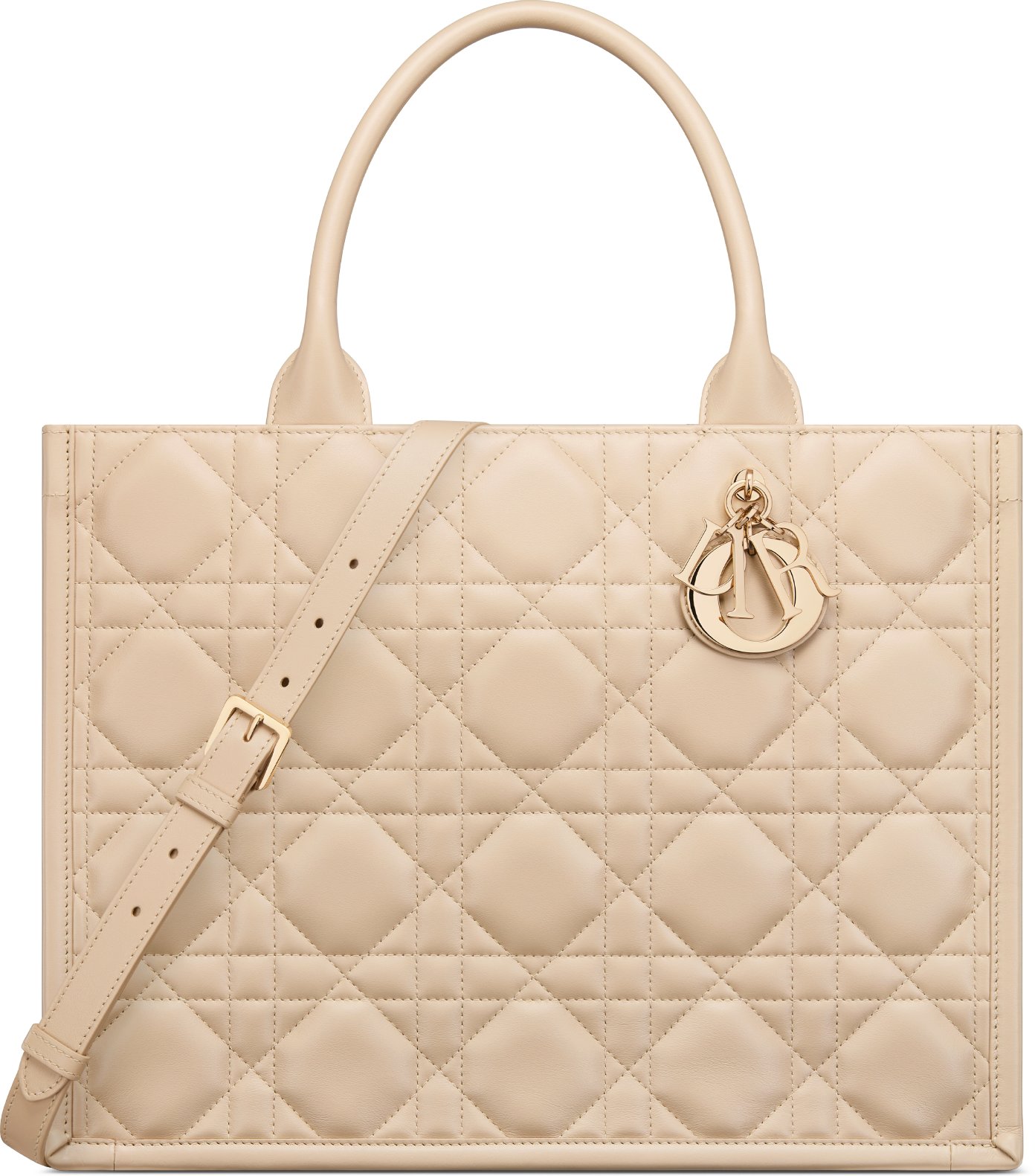 Medium Dior Book Tote aria_woman_viewcode_e01