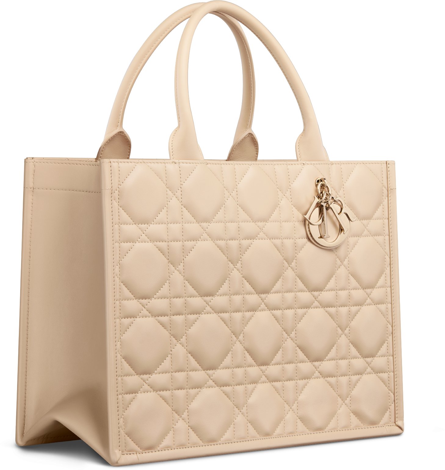 Medium Dior Book Tote Three quarter closed view