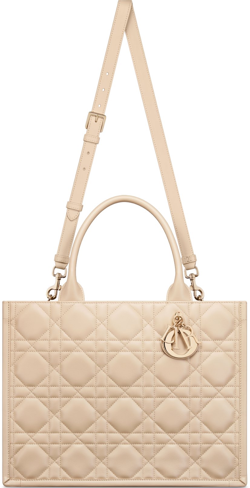 Medium Dior Book Tote Unfolded view