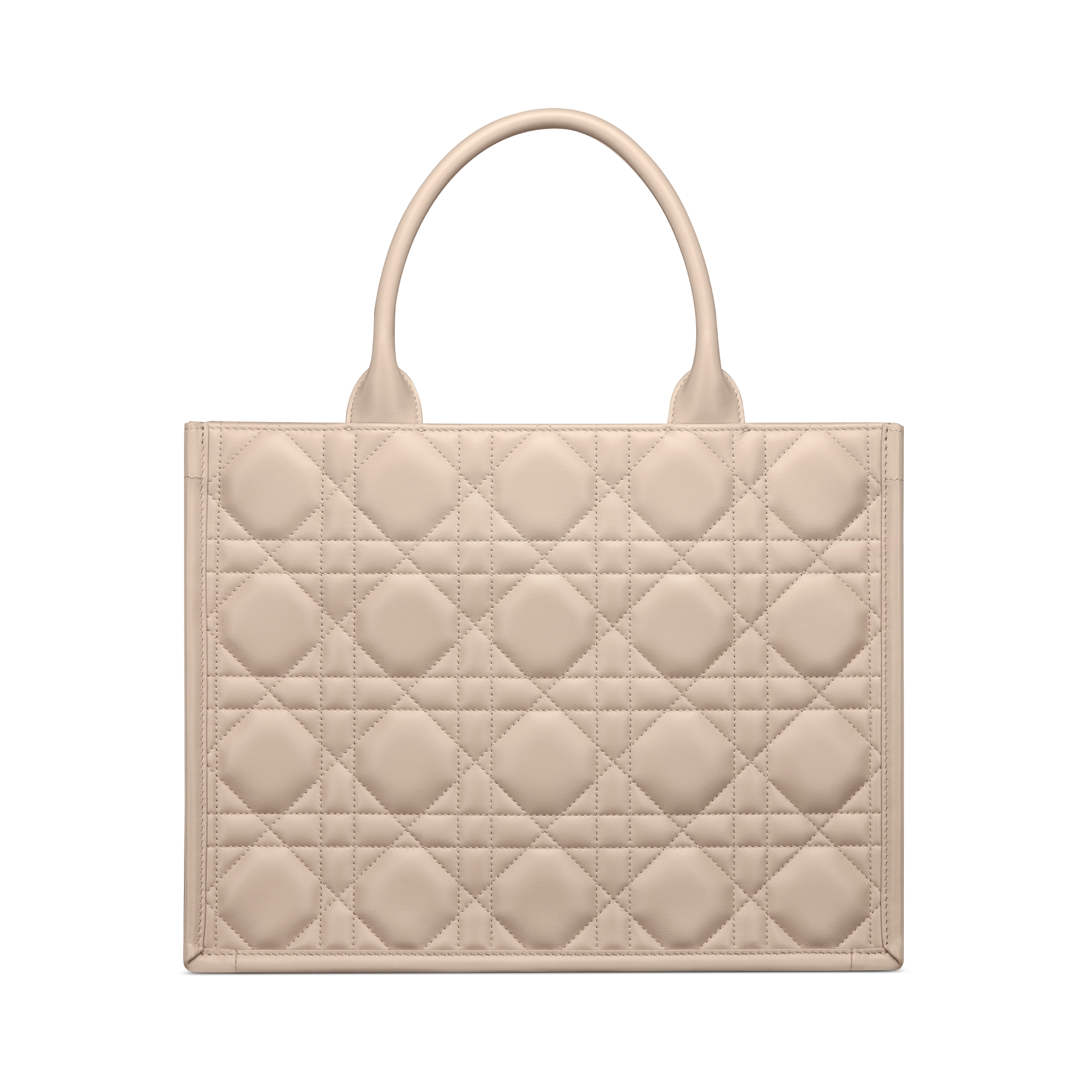 Medium Dior Book Tote