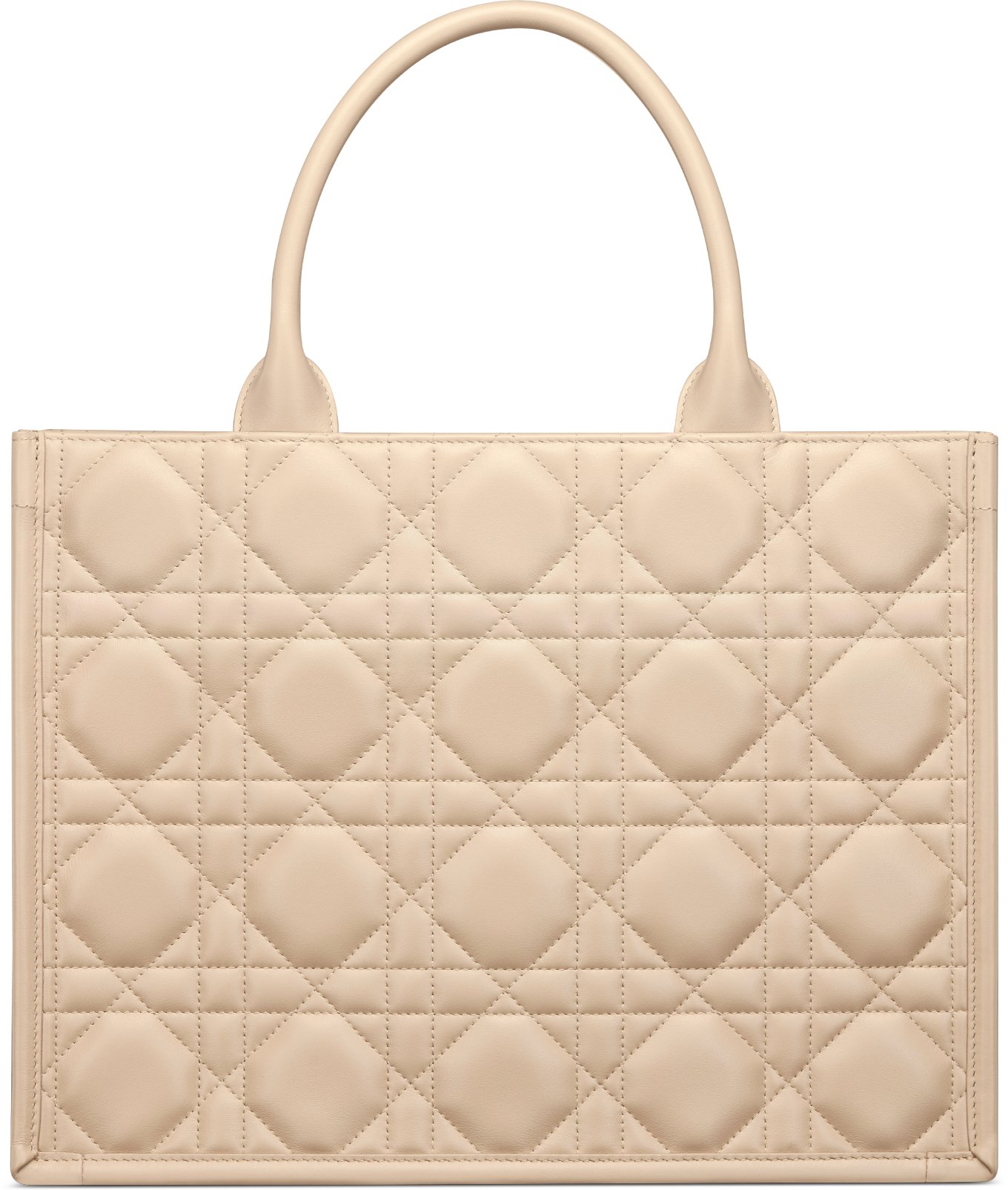 Medium Dior Book Tote Back view