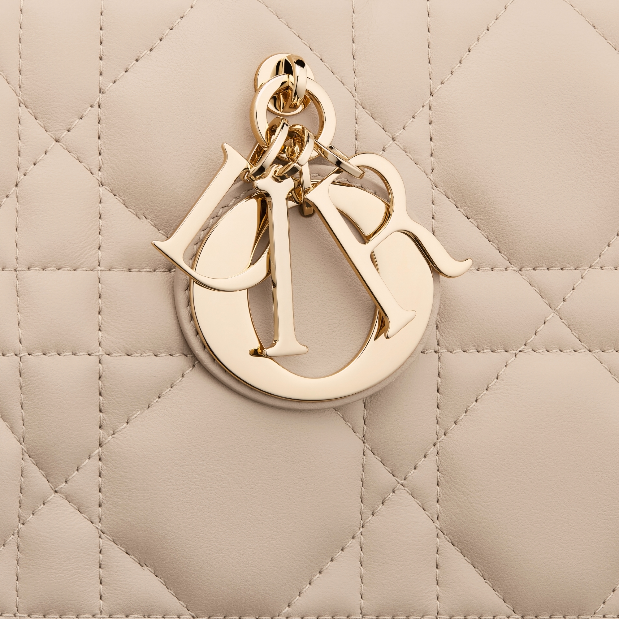 Medium Dior Book Tote