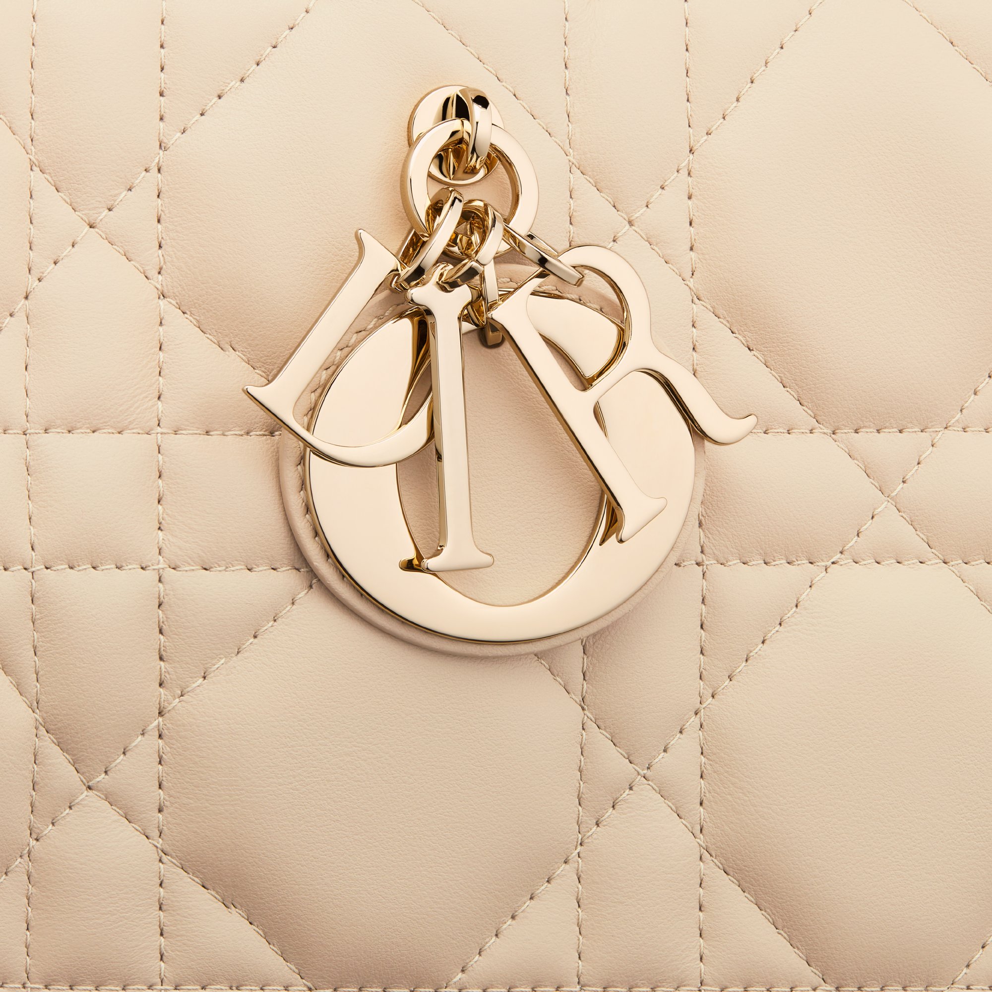 Medium Dior Book Tote Detailed view