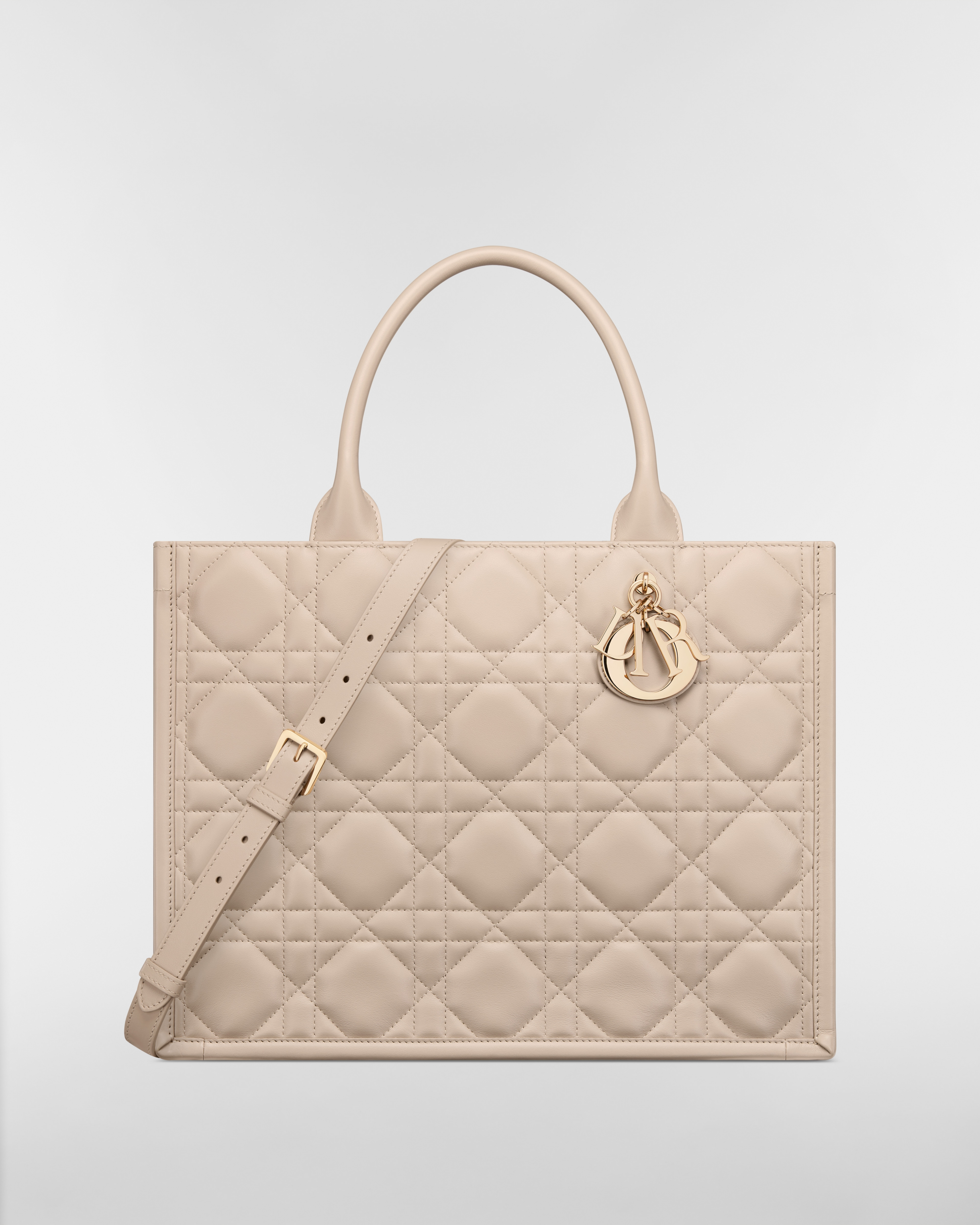 Medium Dior Book Tote
