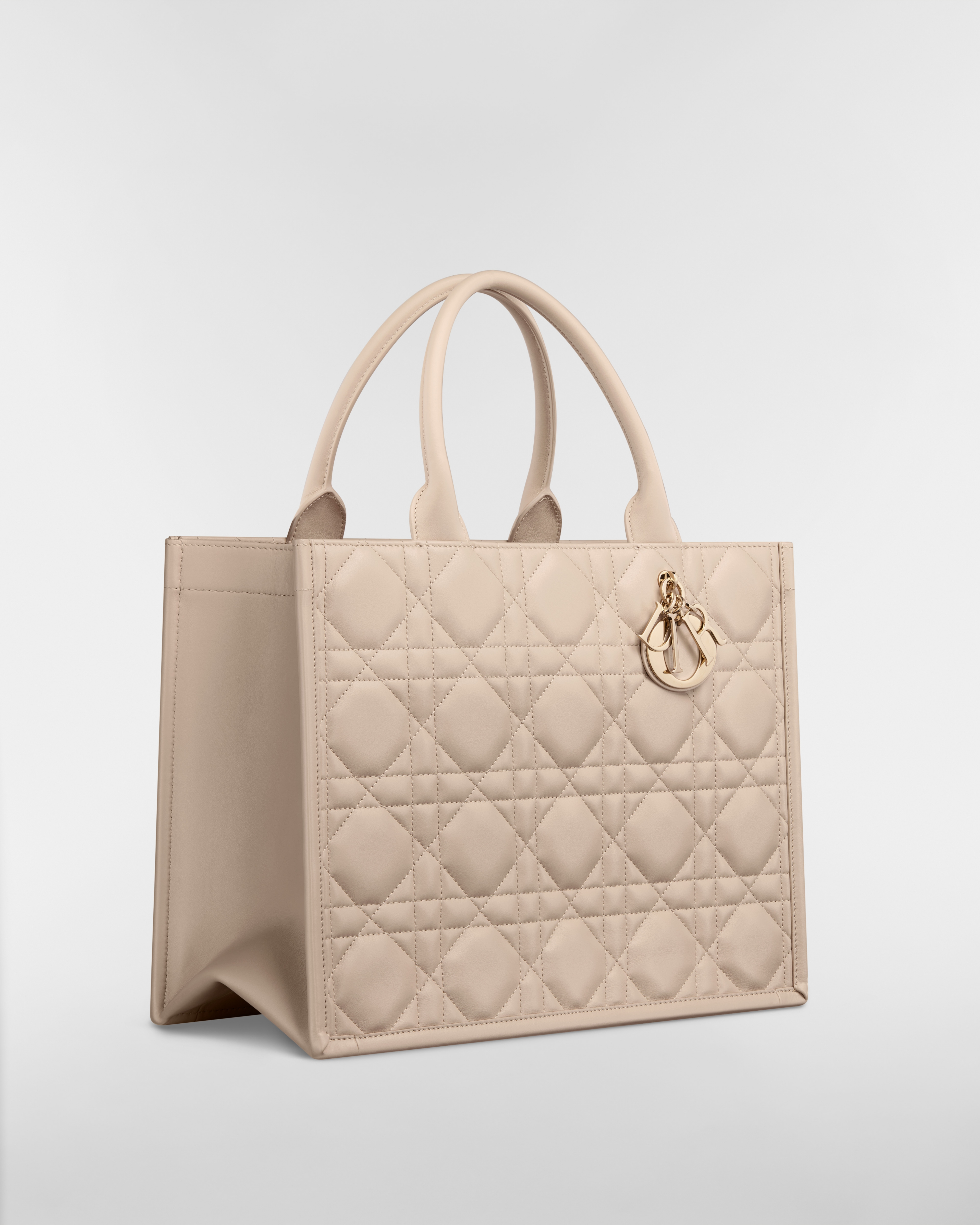 Medium Dior Book Tote