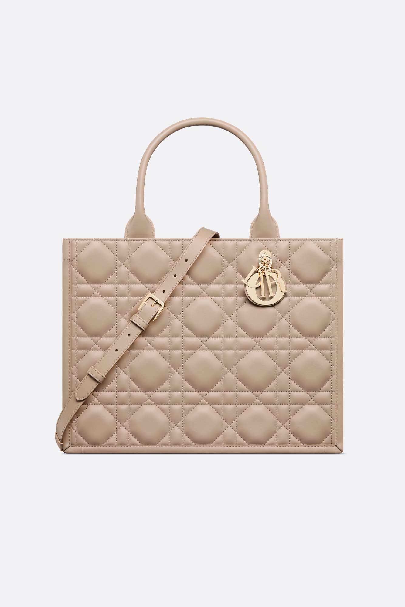 Dior Book Tote | DIOR Dior Book Tote | DIOR