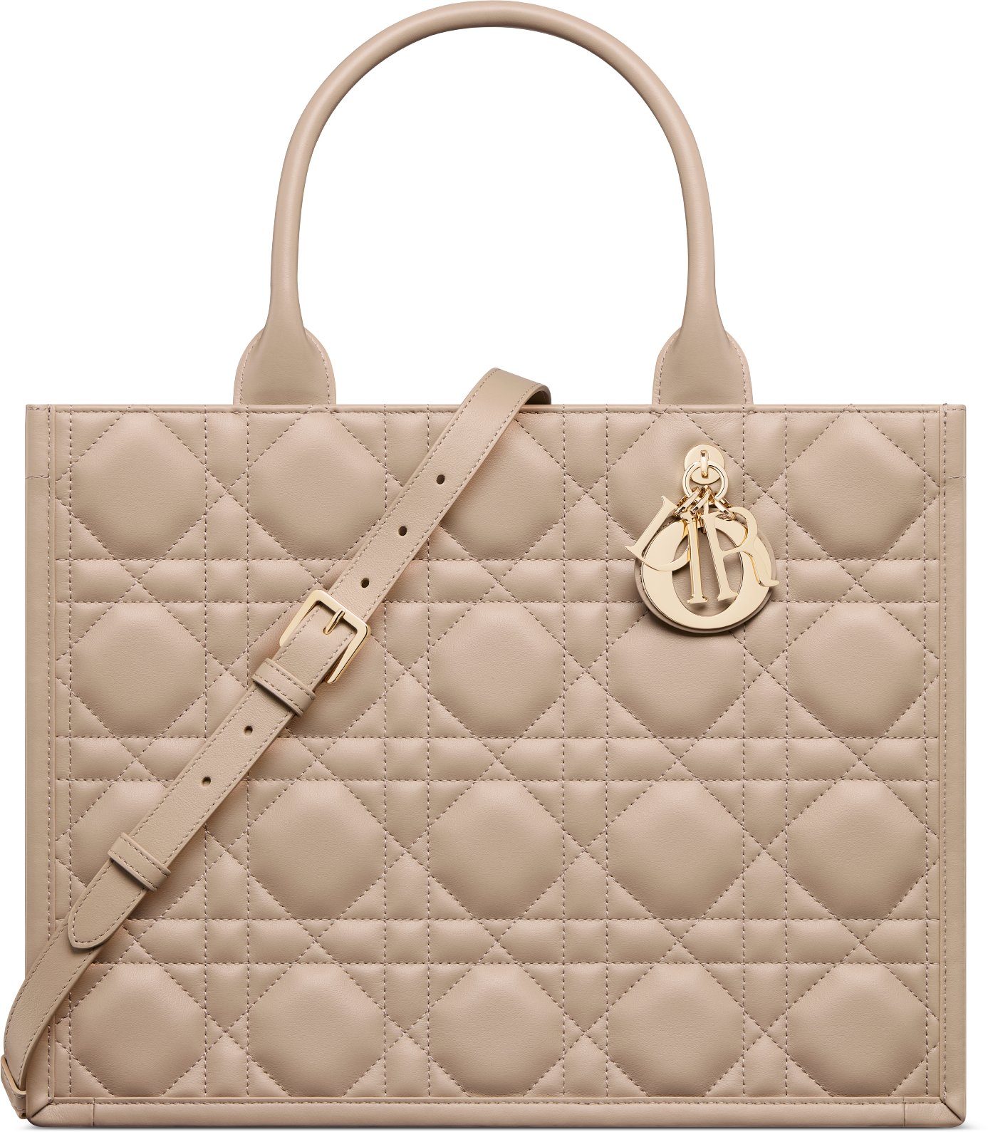 Medium Dior Book Tote aria_woman_viewcode_e01