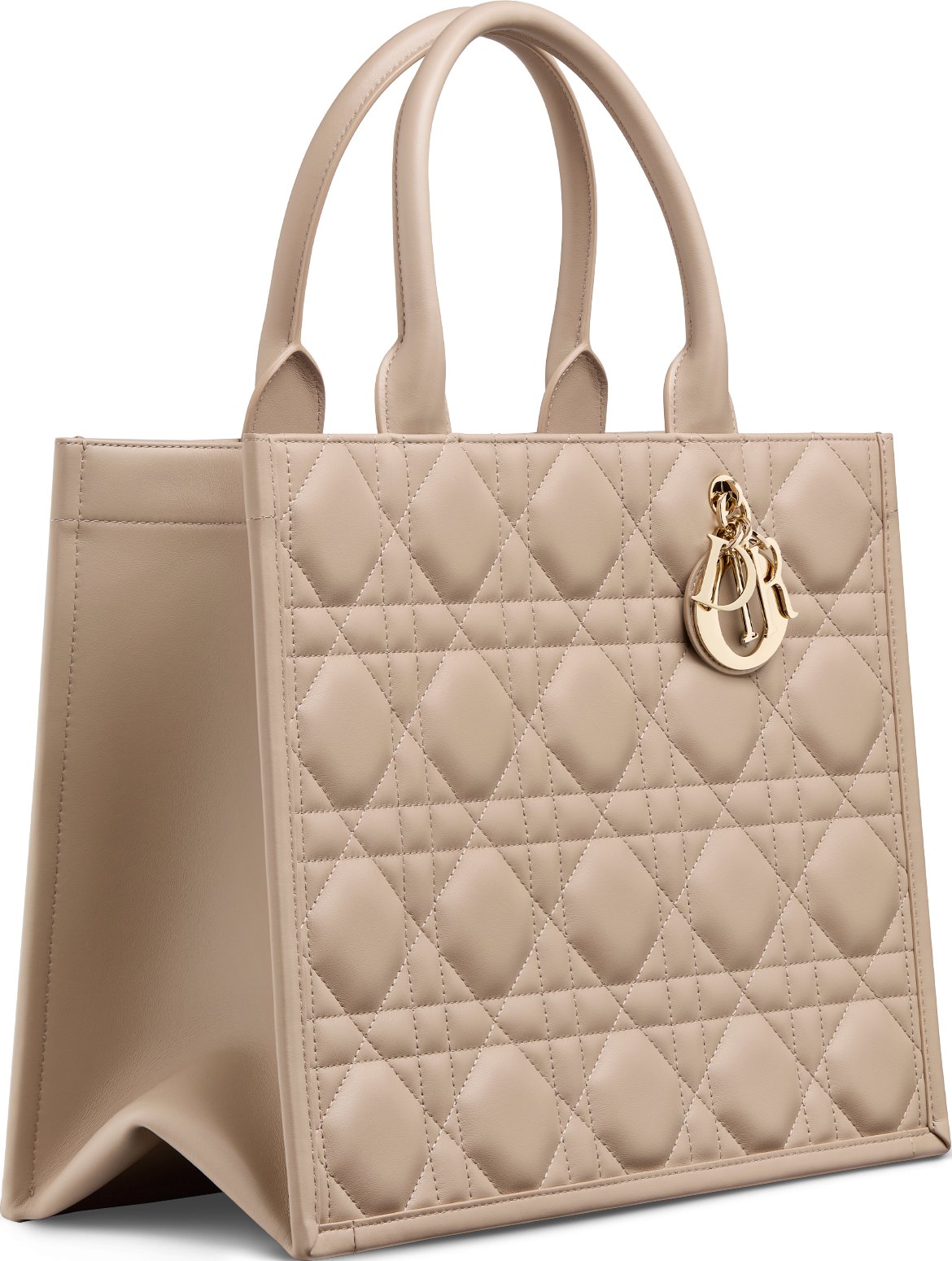 디올 미디엄 Dior 북 토트백 M1324OWHP_M59U