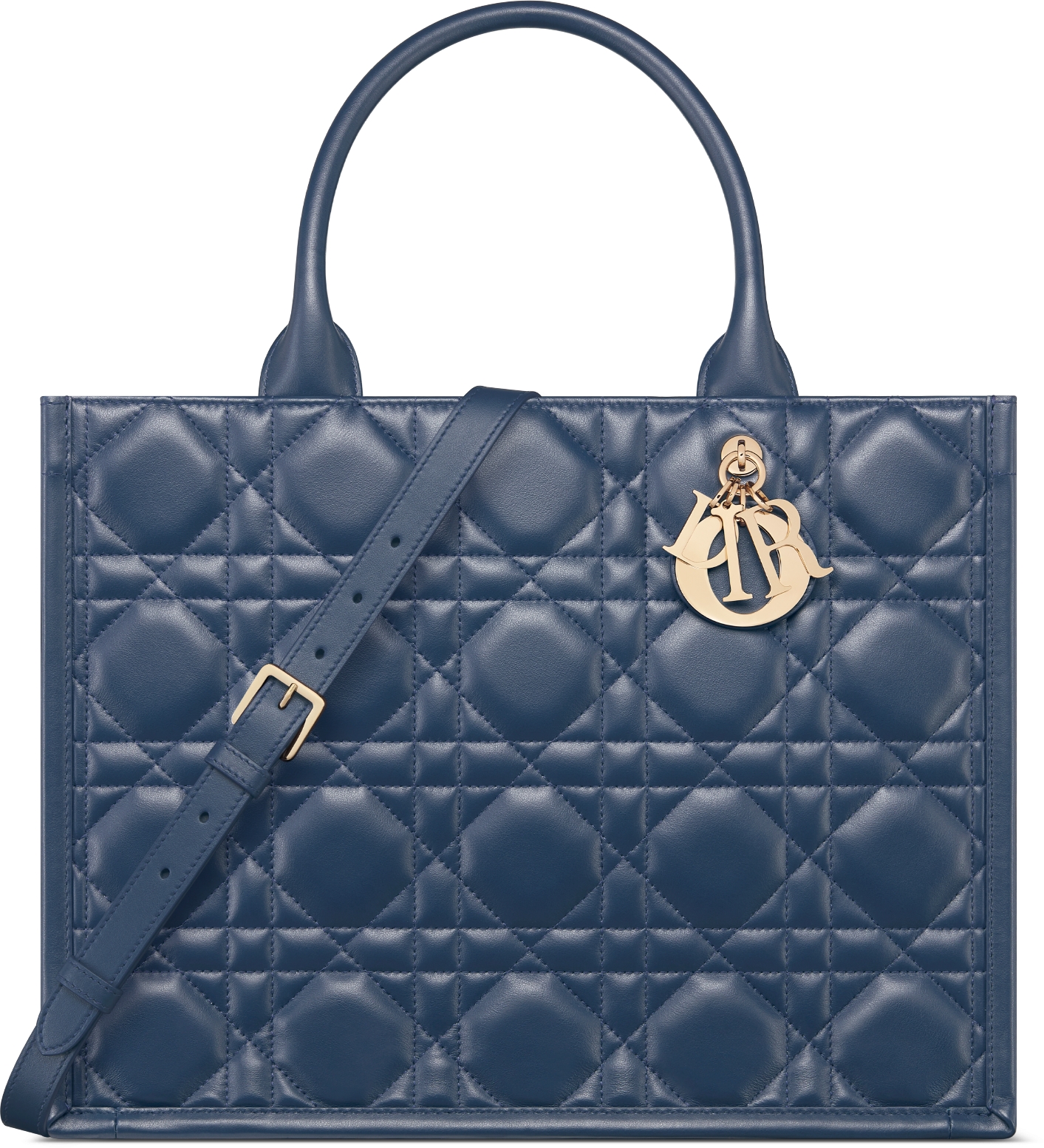 Sacs cabas de luxe pour femme DIOR