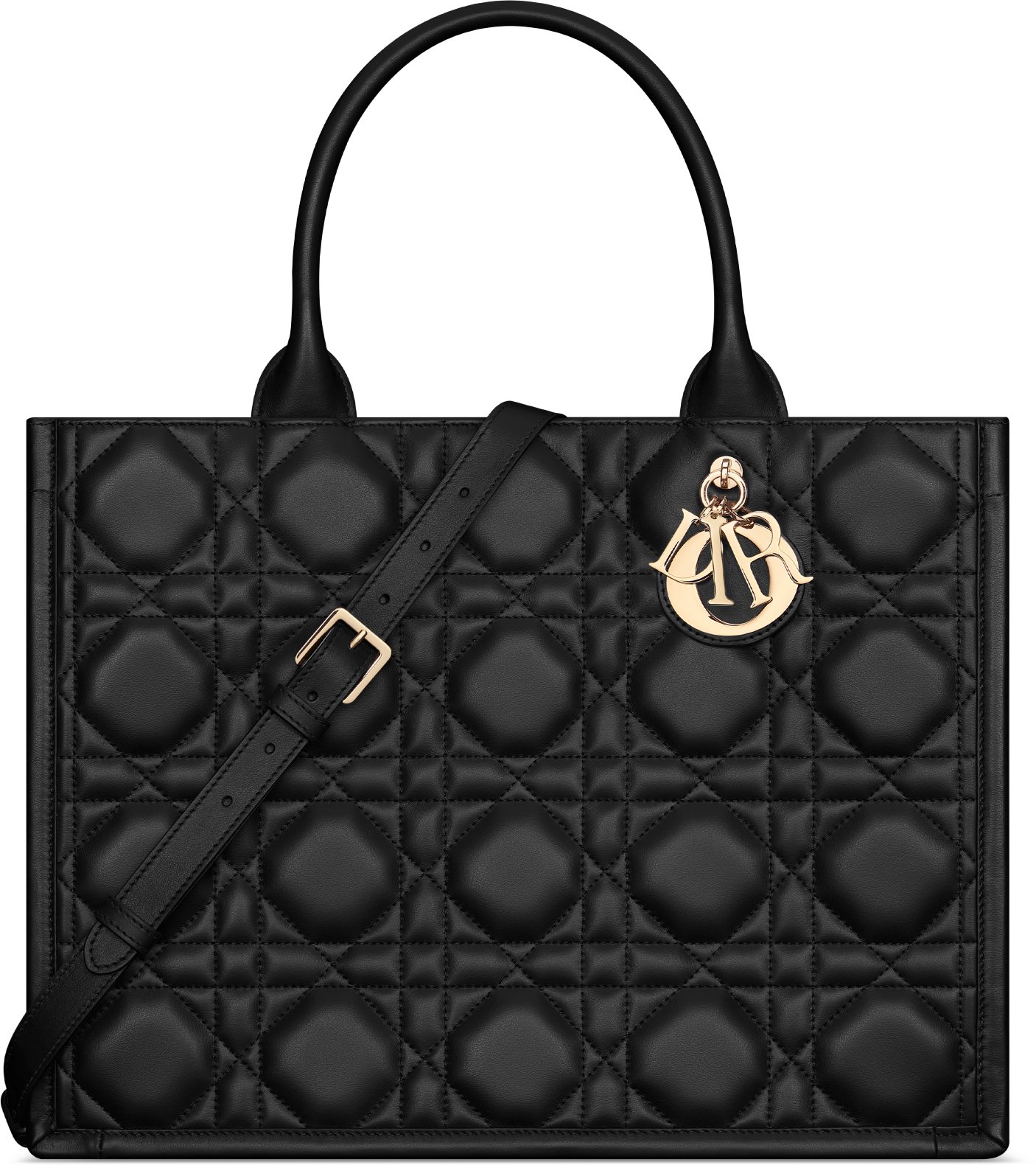 Dior Book Tote DIOR AE DIOR